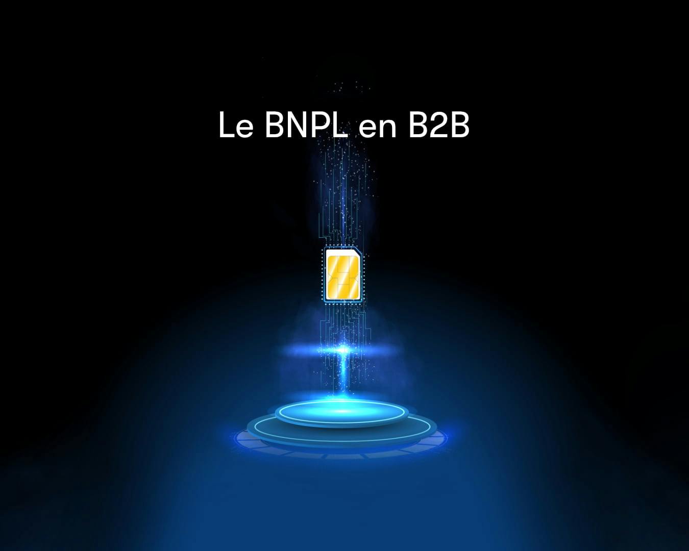 le BNPL en B to B