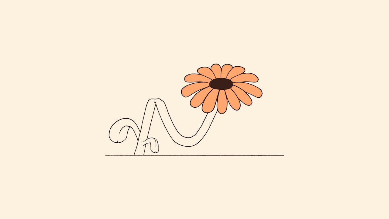 An illustration of an orange flower