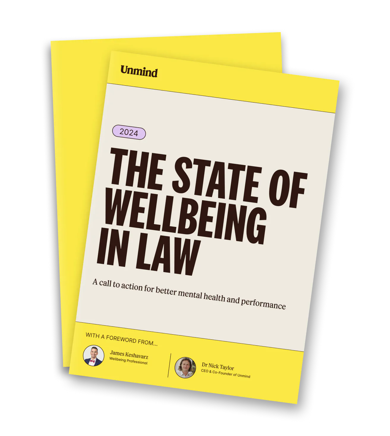 The State of Wellbeing in Law 2024
