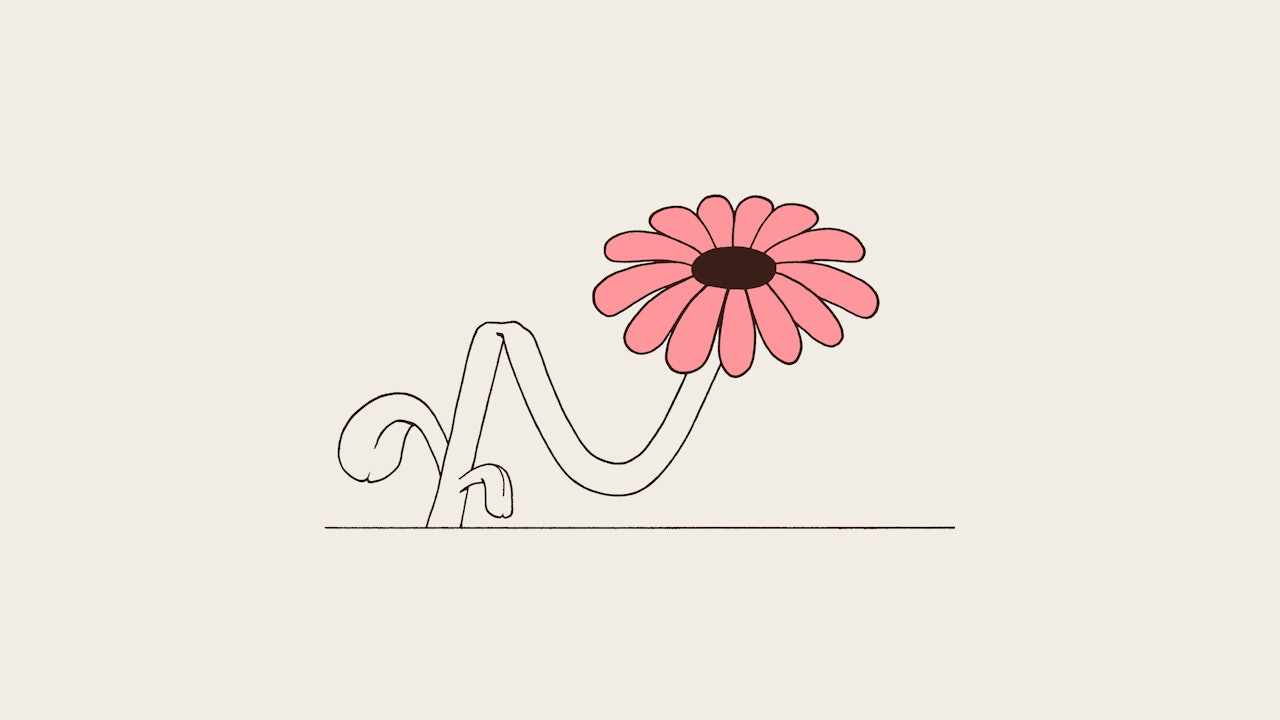 wellbeing flower