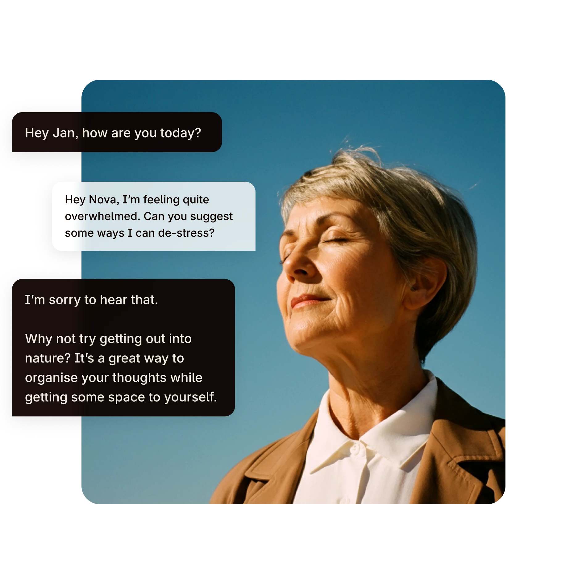 Default description for the image