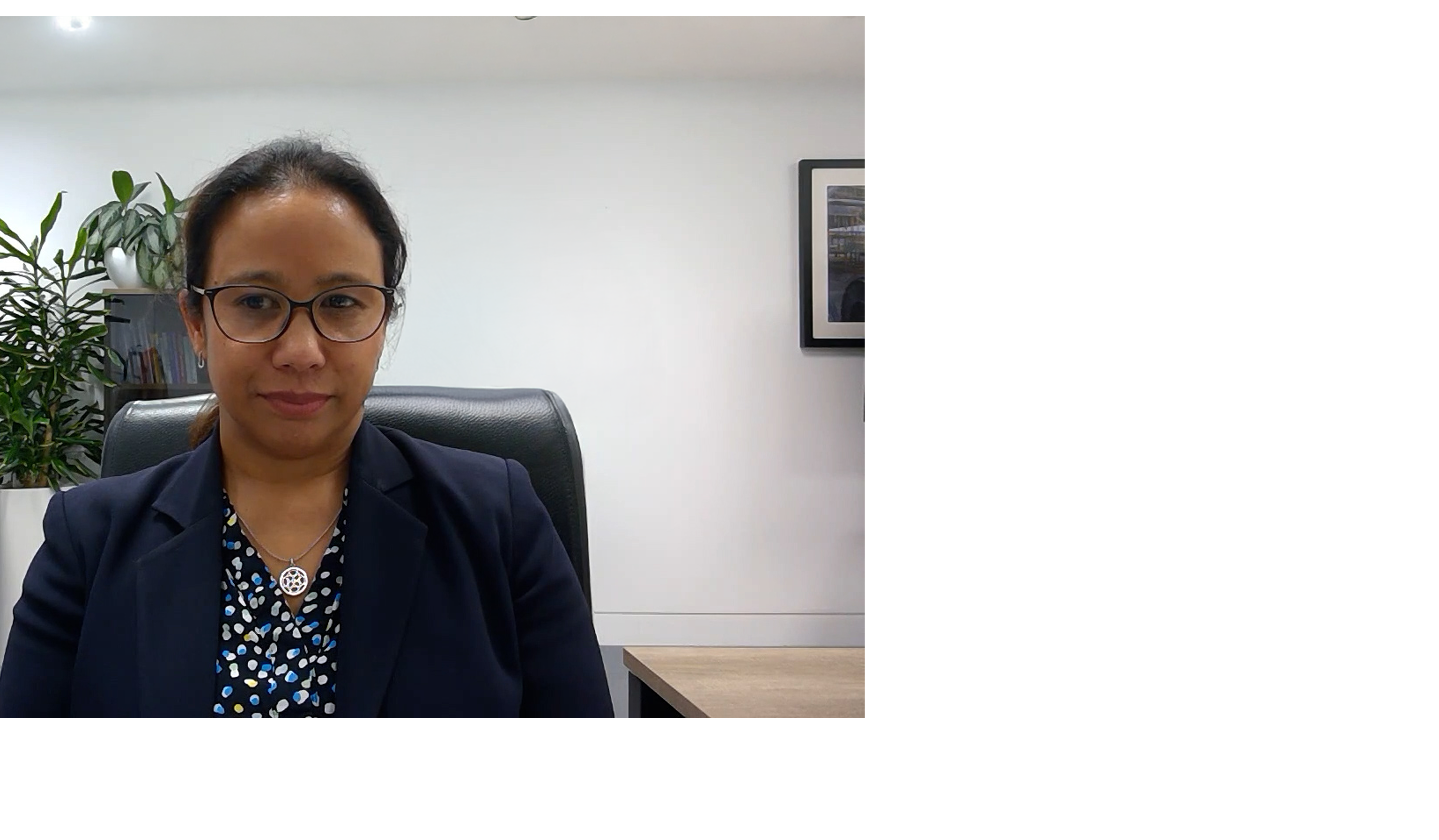 Default description for the image