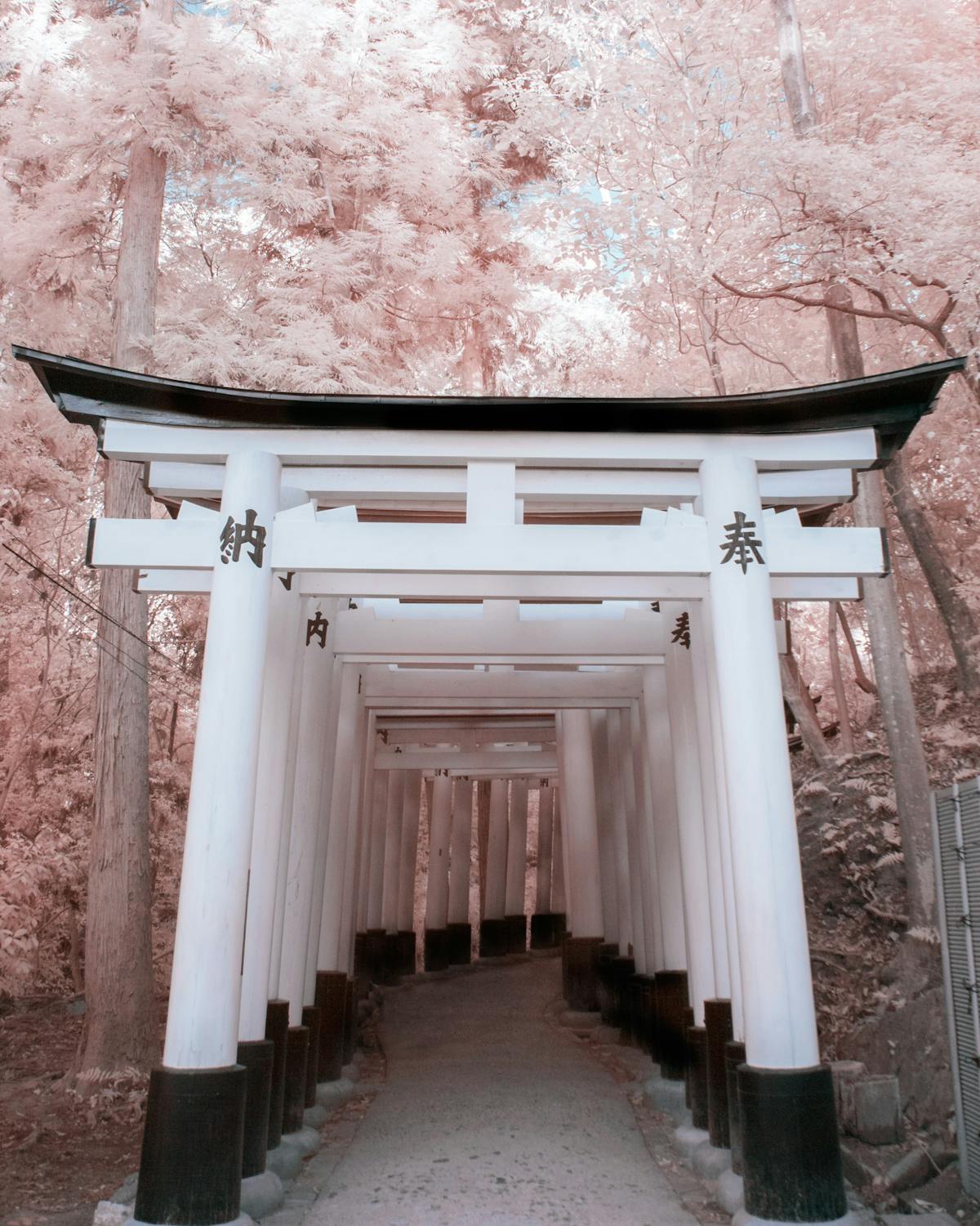 Infrared photography of a shrine
