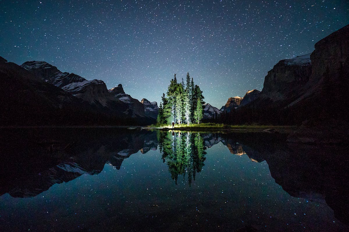 Night photography of trees reflecting on water.