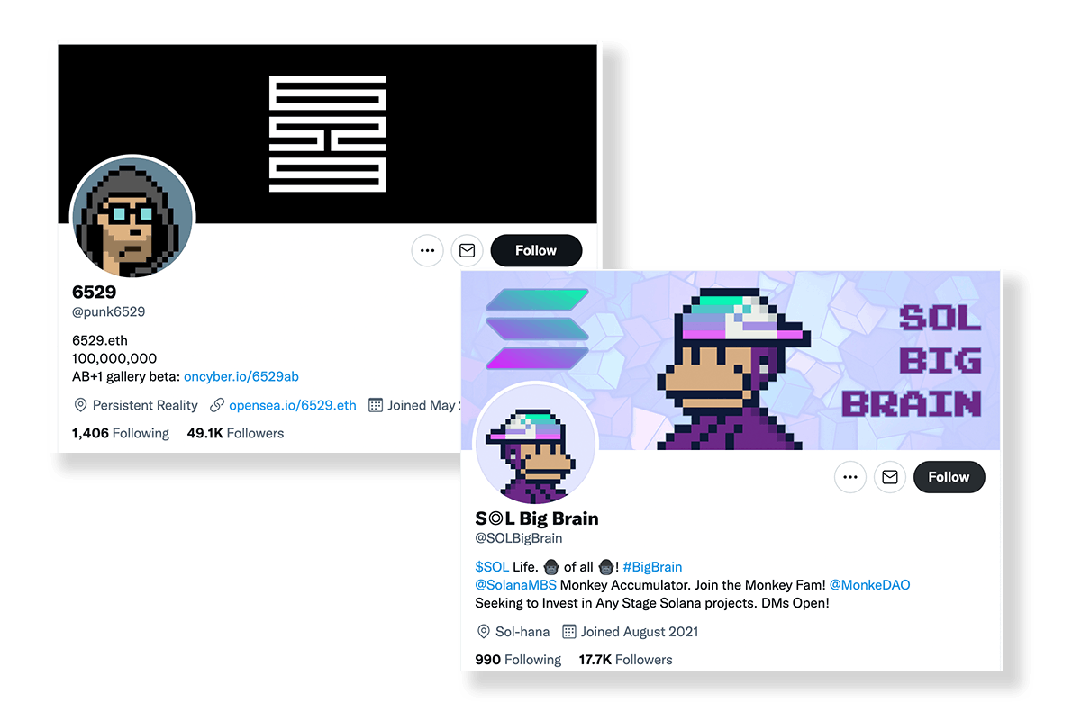 A CryptoPunk and Solana MBS Twitter PFP A CryptoPunk and Solana MBS Twitter PFP