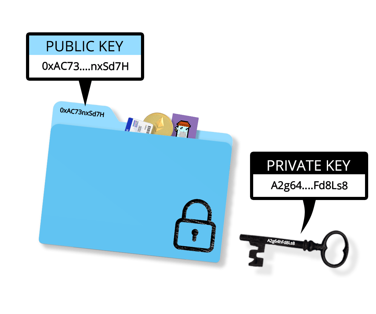 Crypto Wallet Public Key and Private Key