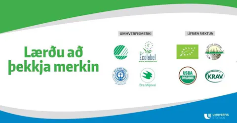 Segull – Lærðu að þekkja merkin