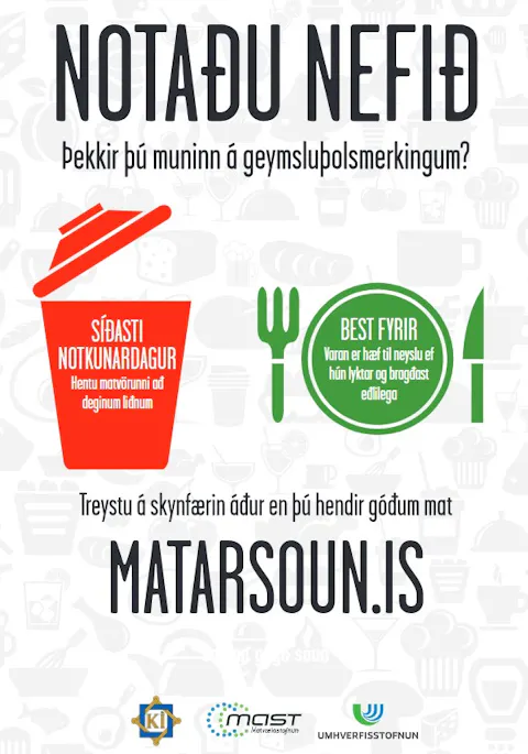 Segull – Matarsóun – notadu nefið