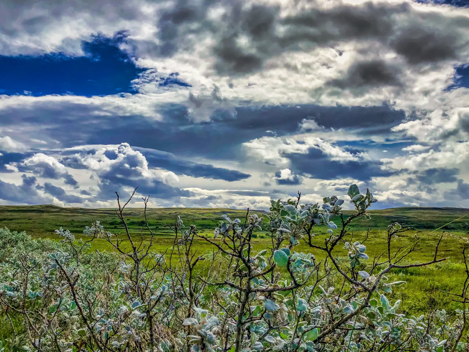 Íslenskt landslag, gróður og skýjaður himinn