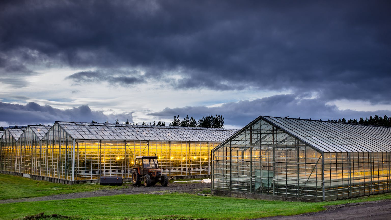 Gróðurhús á Íslandi