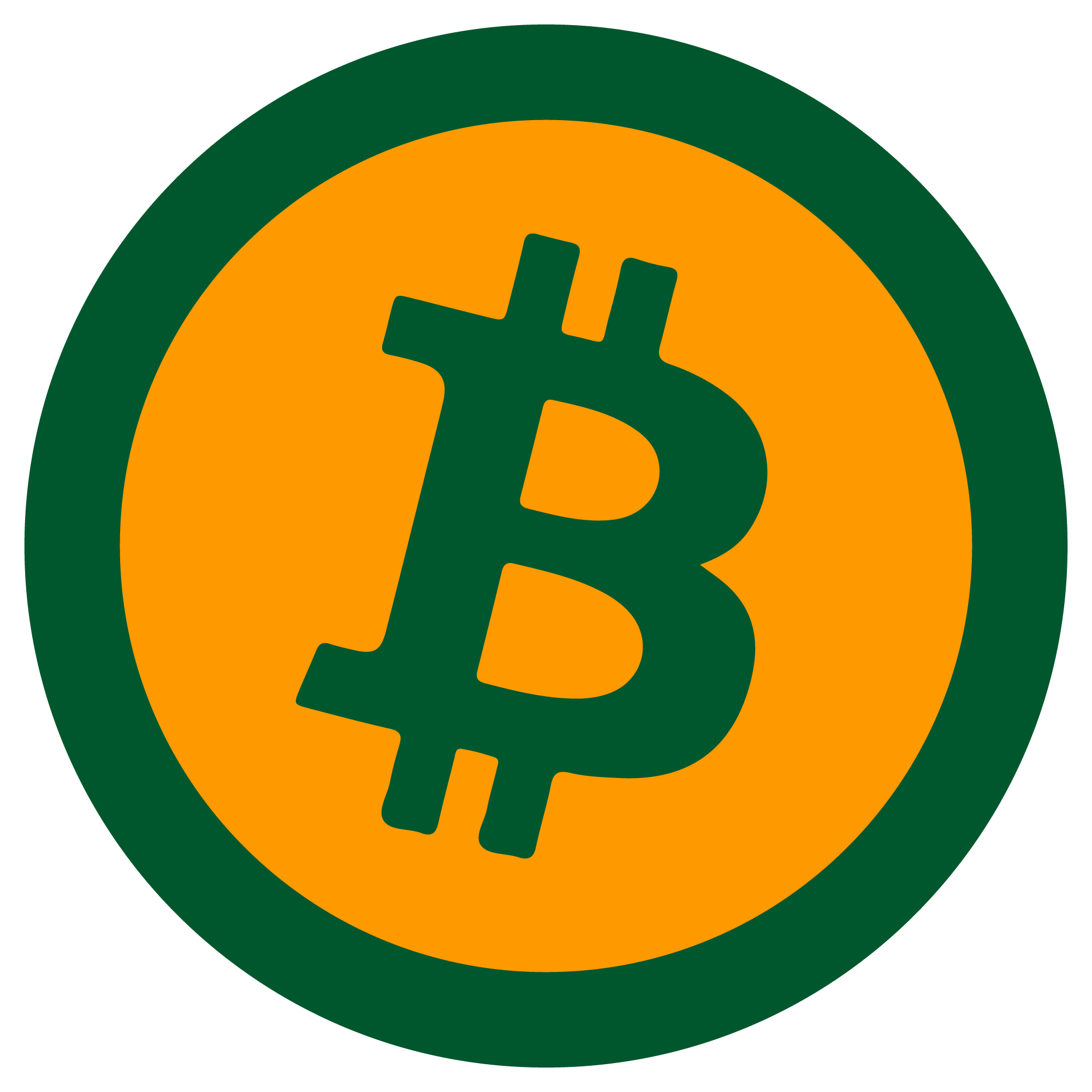 Bitcoin Zero icon