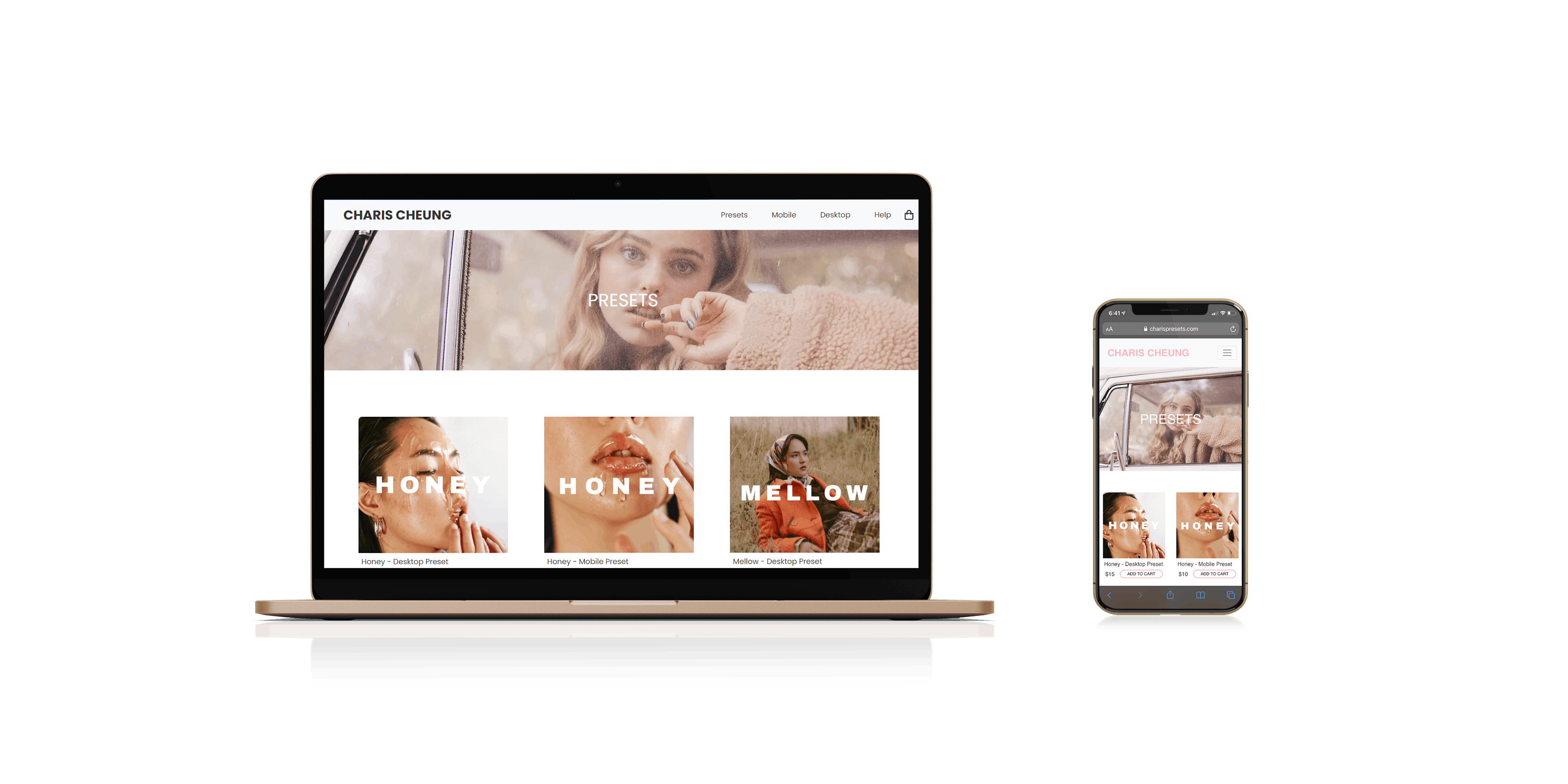 Our Previous Works Portfolio Work