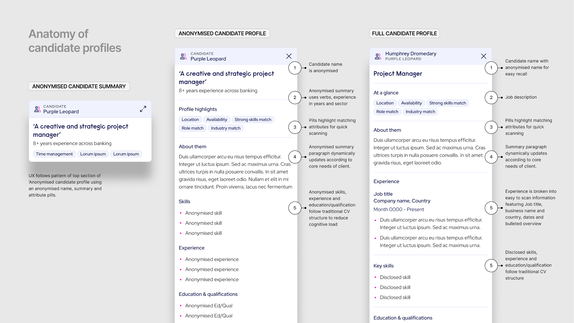 Reed.ai Anatomy of Candidate profiles