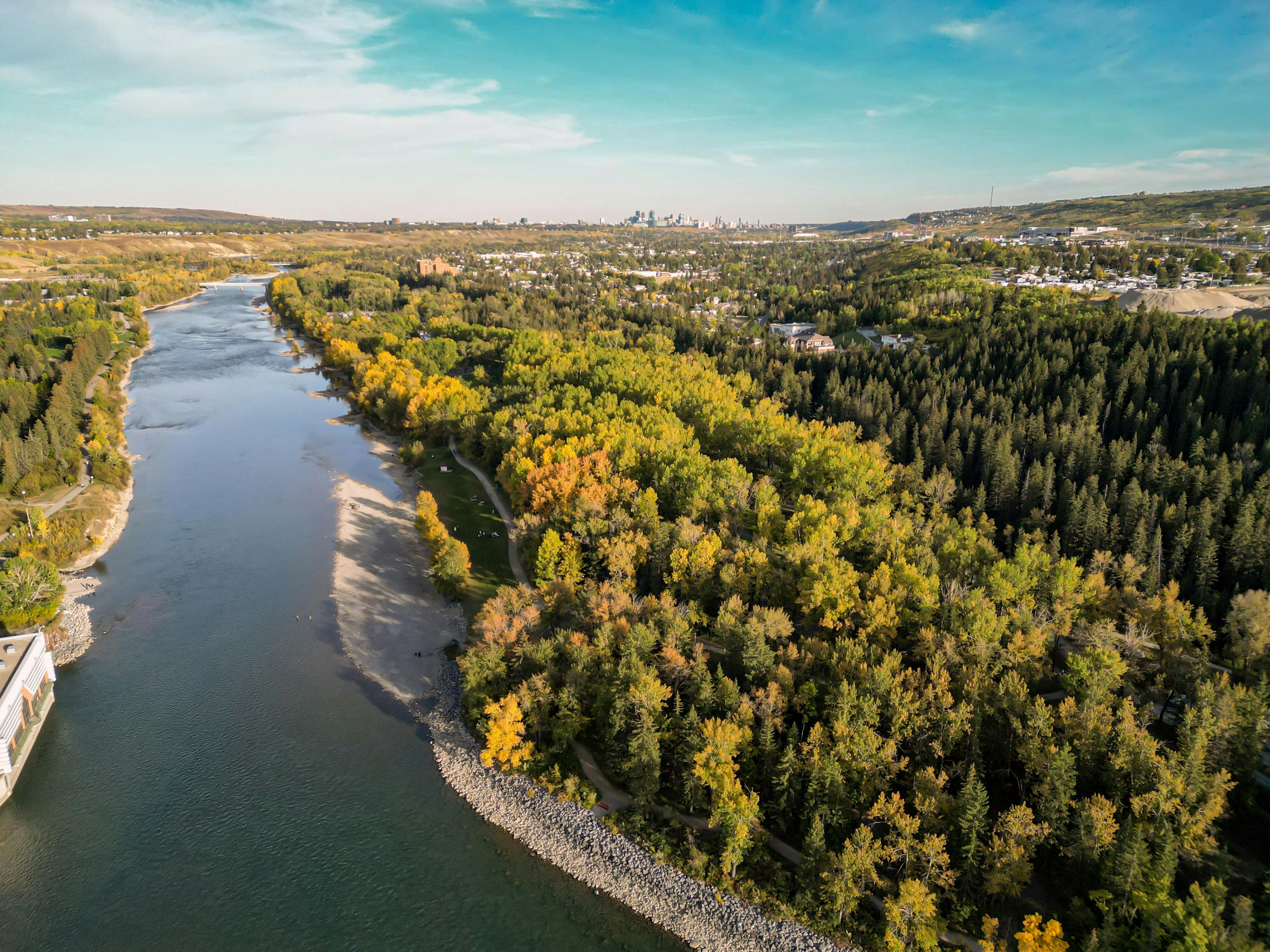 Aerial view of a river in Calgary, surrounded by autumn-coloured trees.