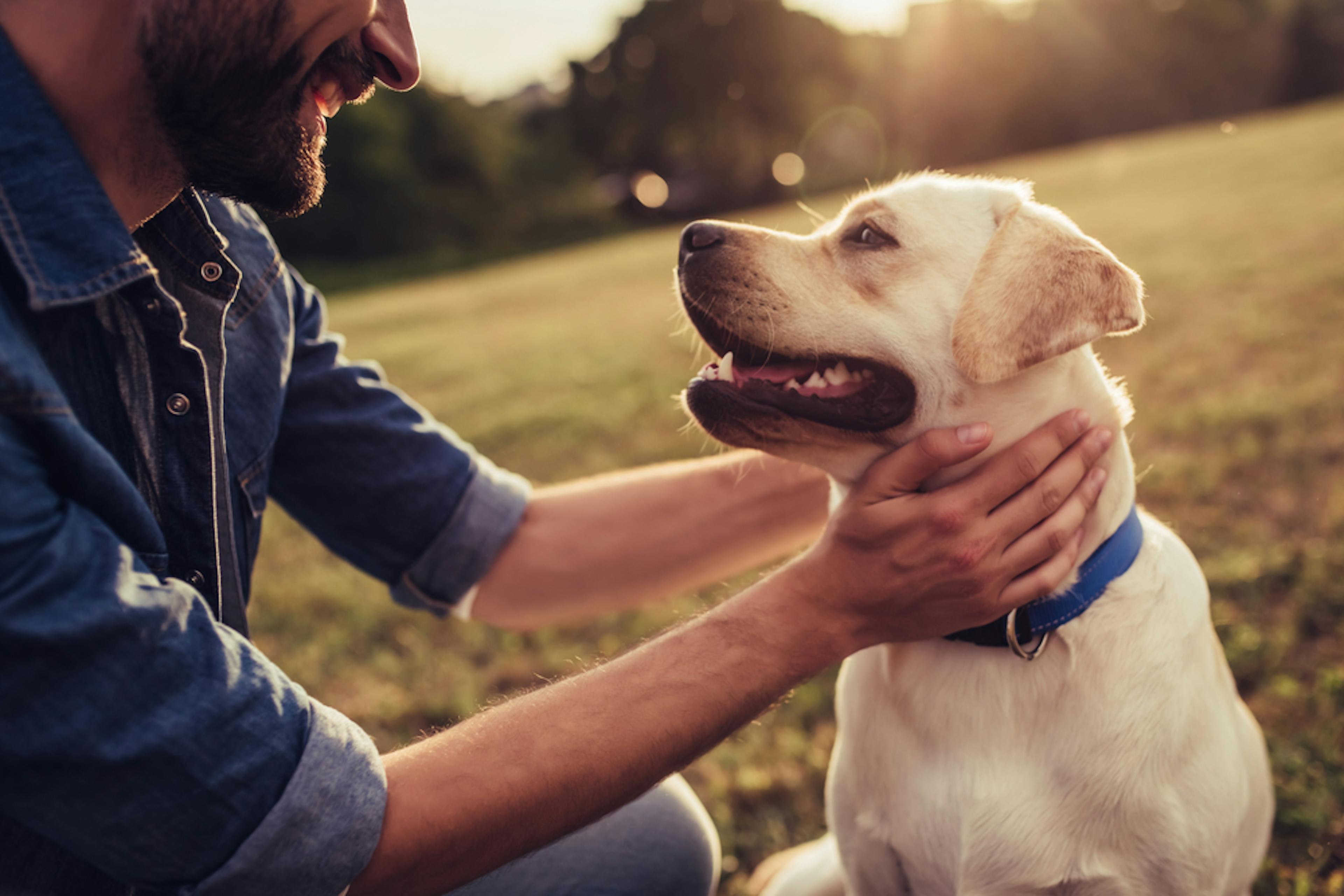 A man petting his dog