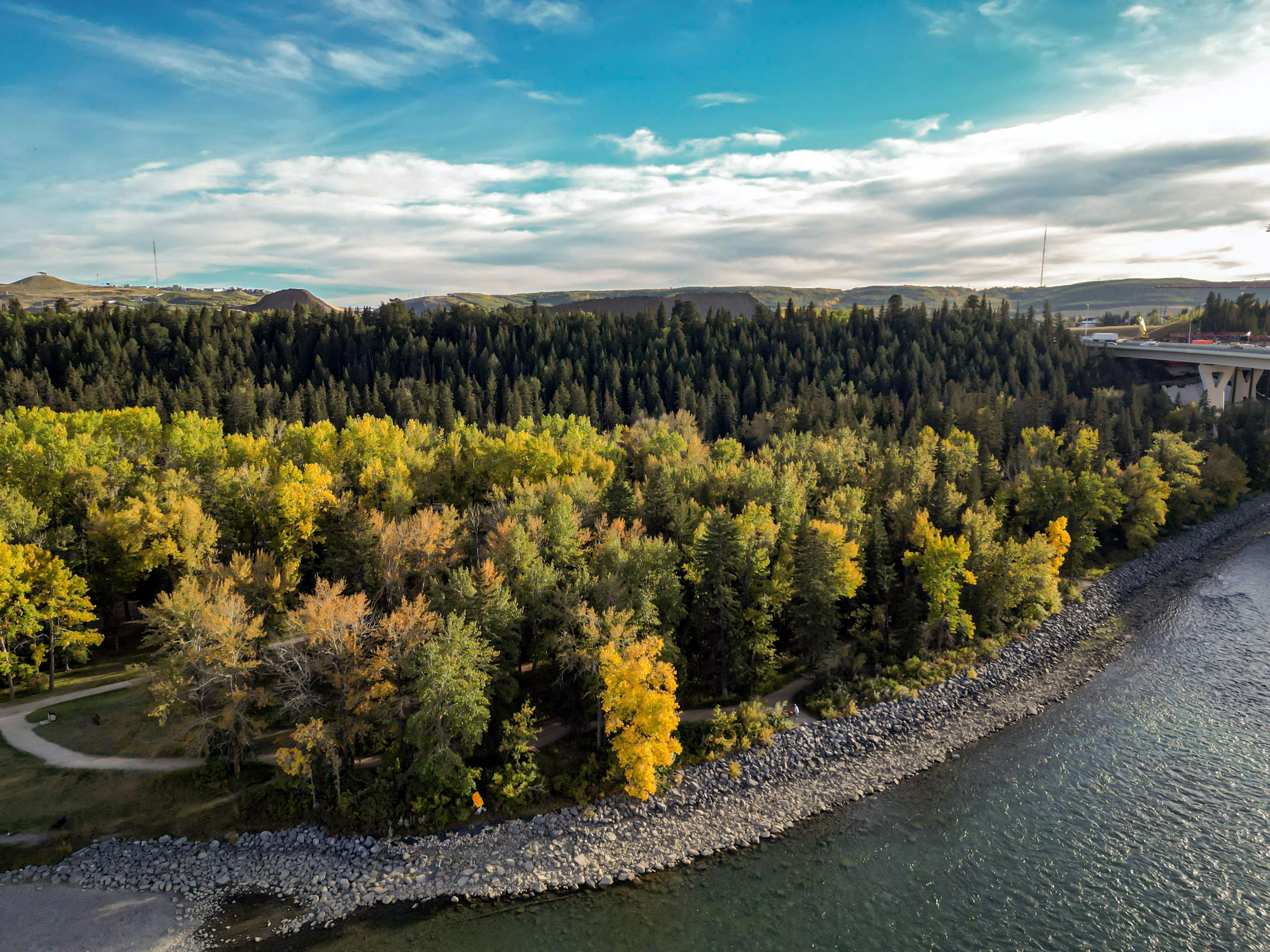 The bow river near the community of Upper Greenwich