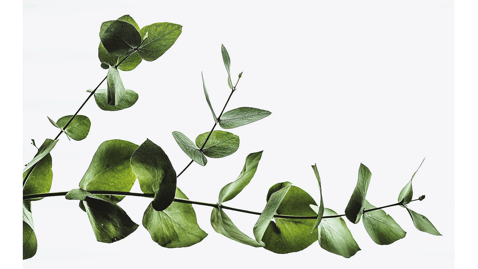 Pannello Decorativo - 4