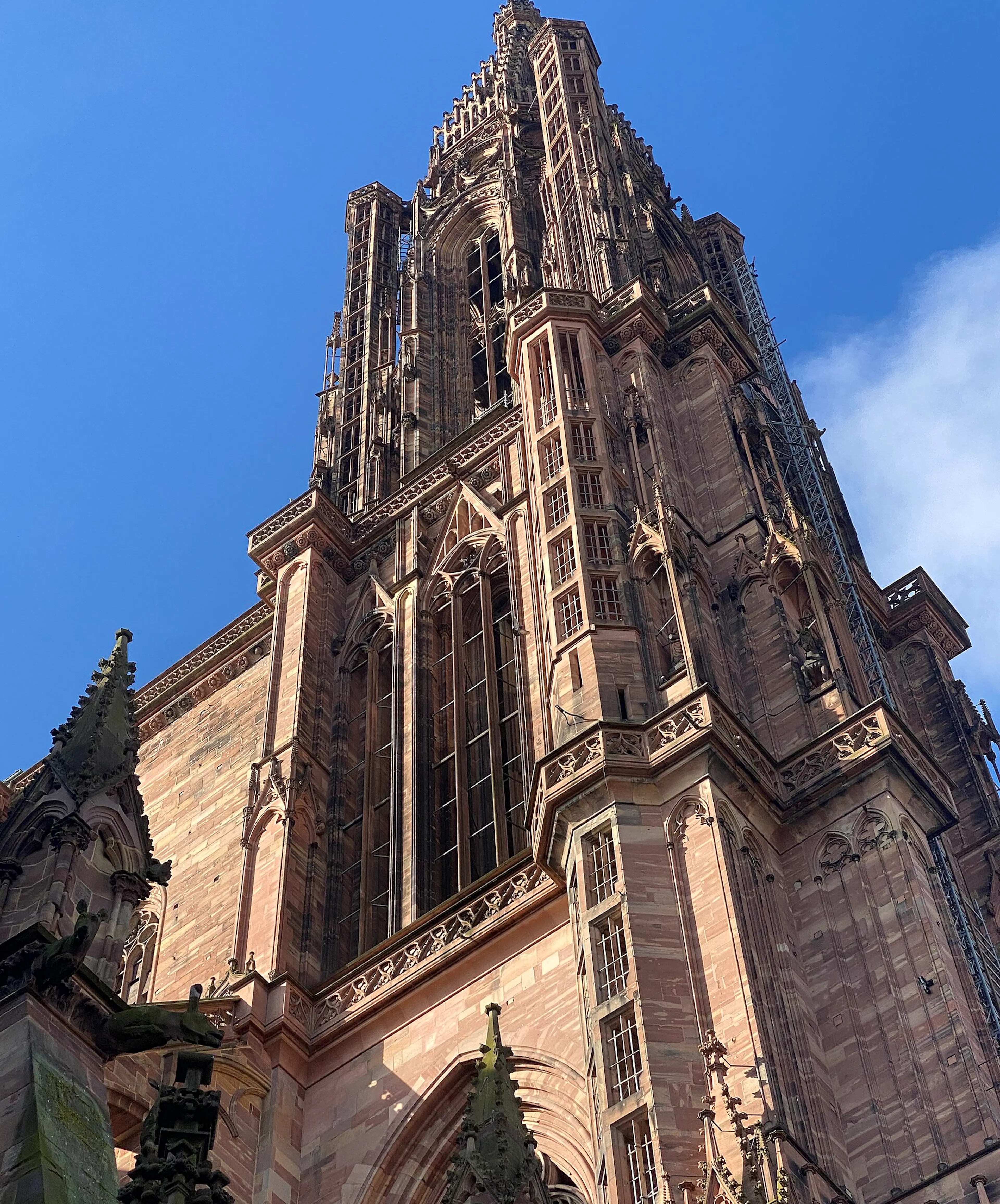 Cathédrale Notre-Dame de Strasbourg, au cœur du bassin où Uptoo recrute des commerciaux
