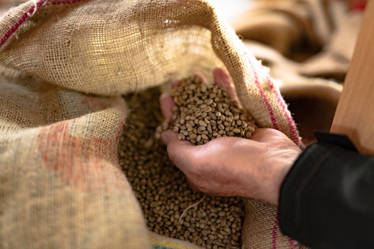 Singleuse coffee pods have surprising environmental benefits