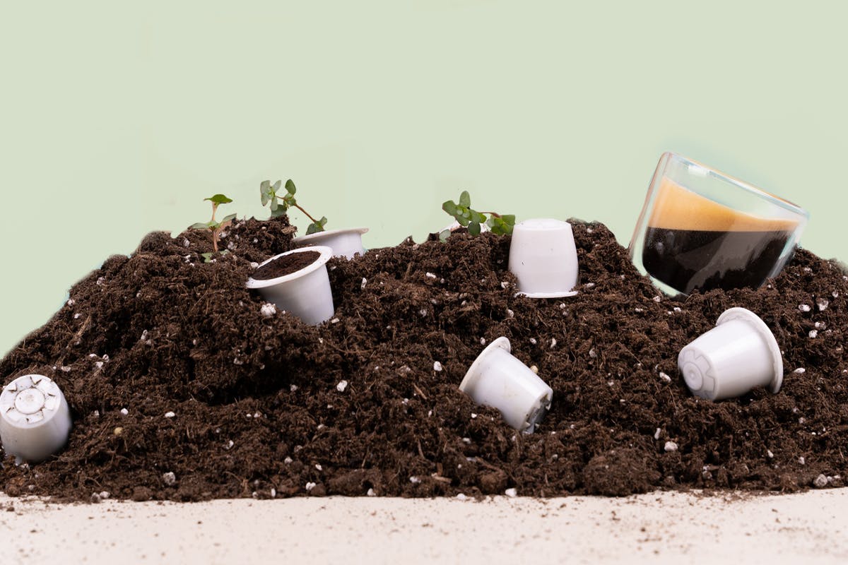 Urban Brew Green Fleet Partnership