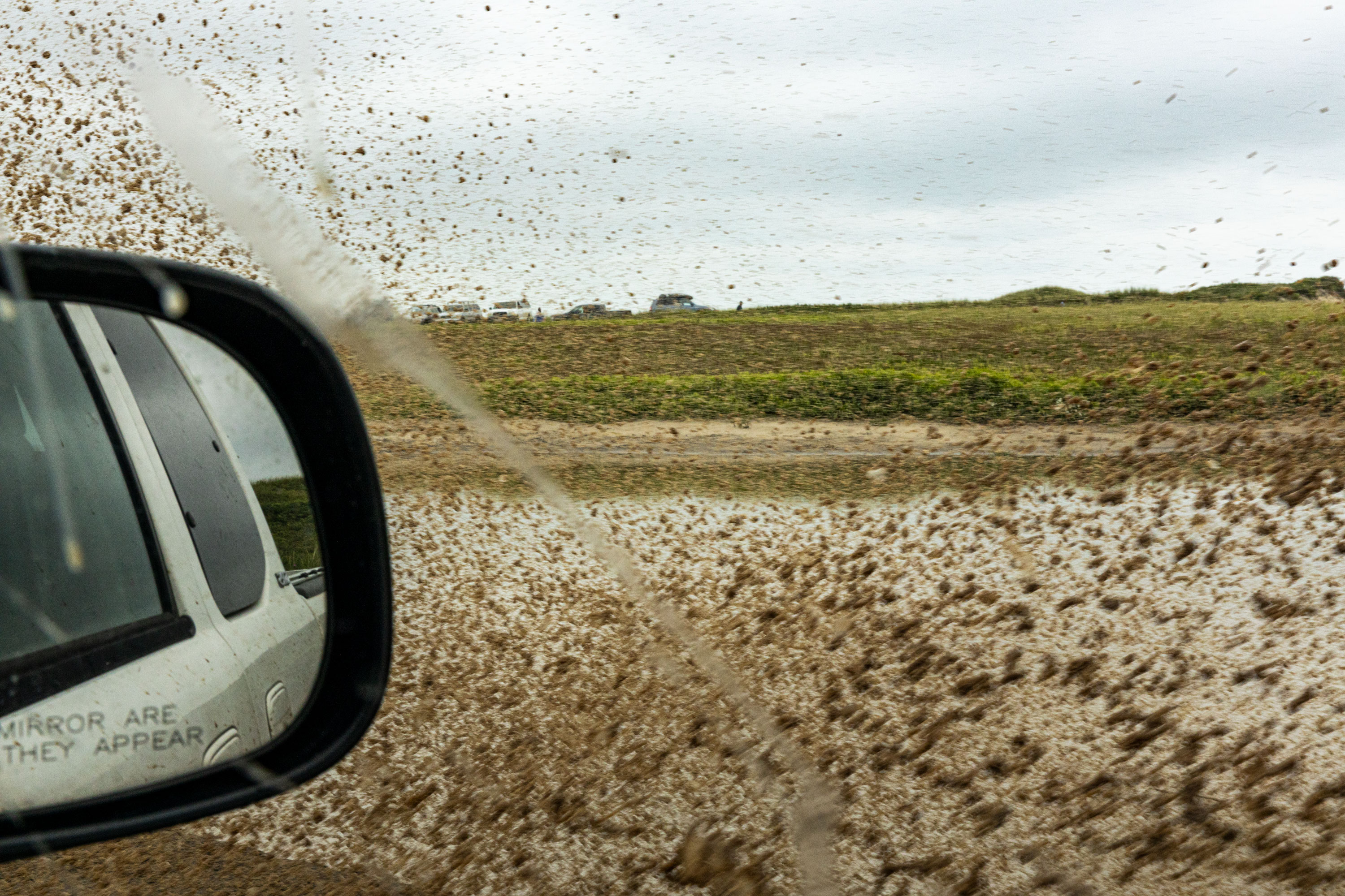 Out & About Guide The Urban Electric Co.