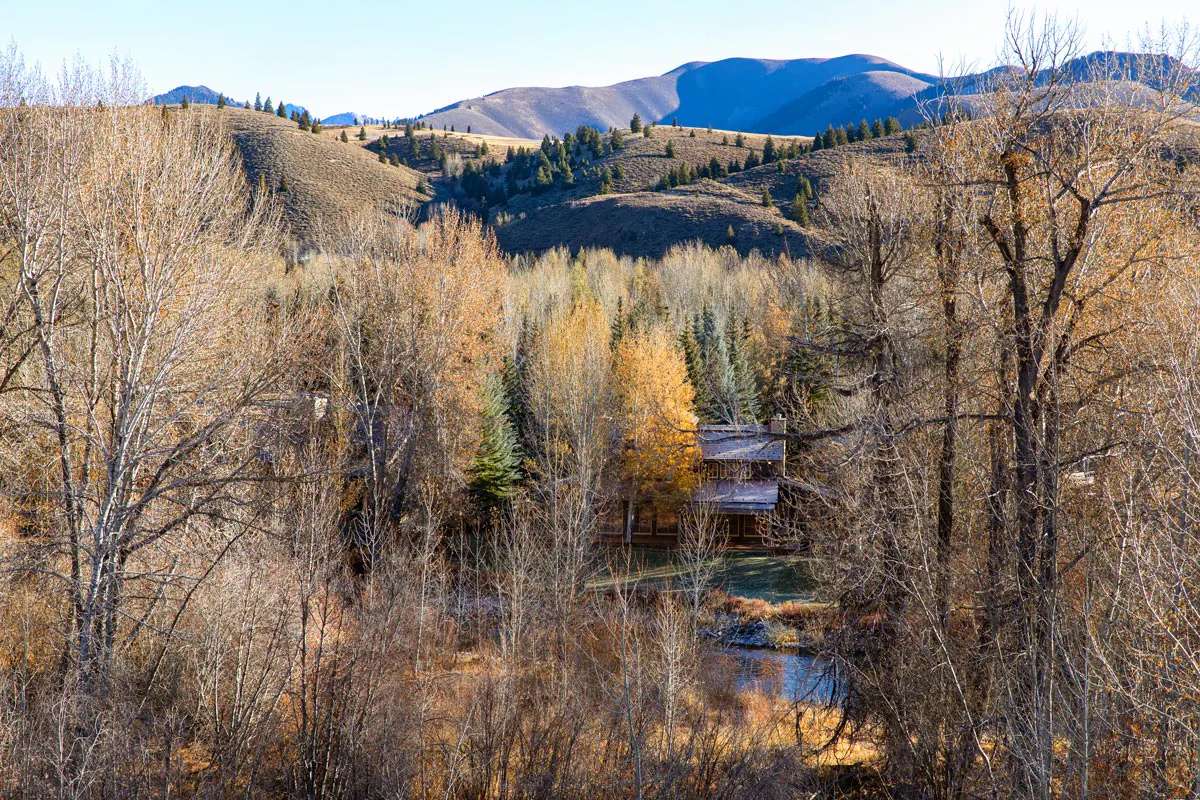 Channeling Hemingway The Urban Electric Co.