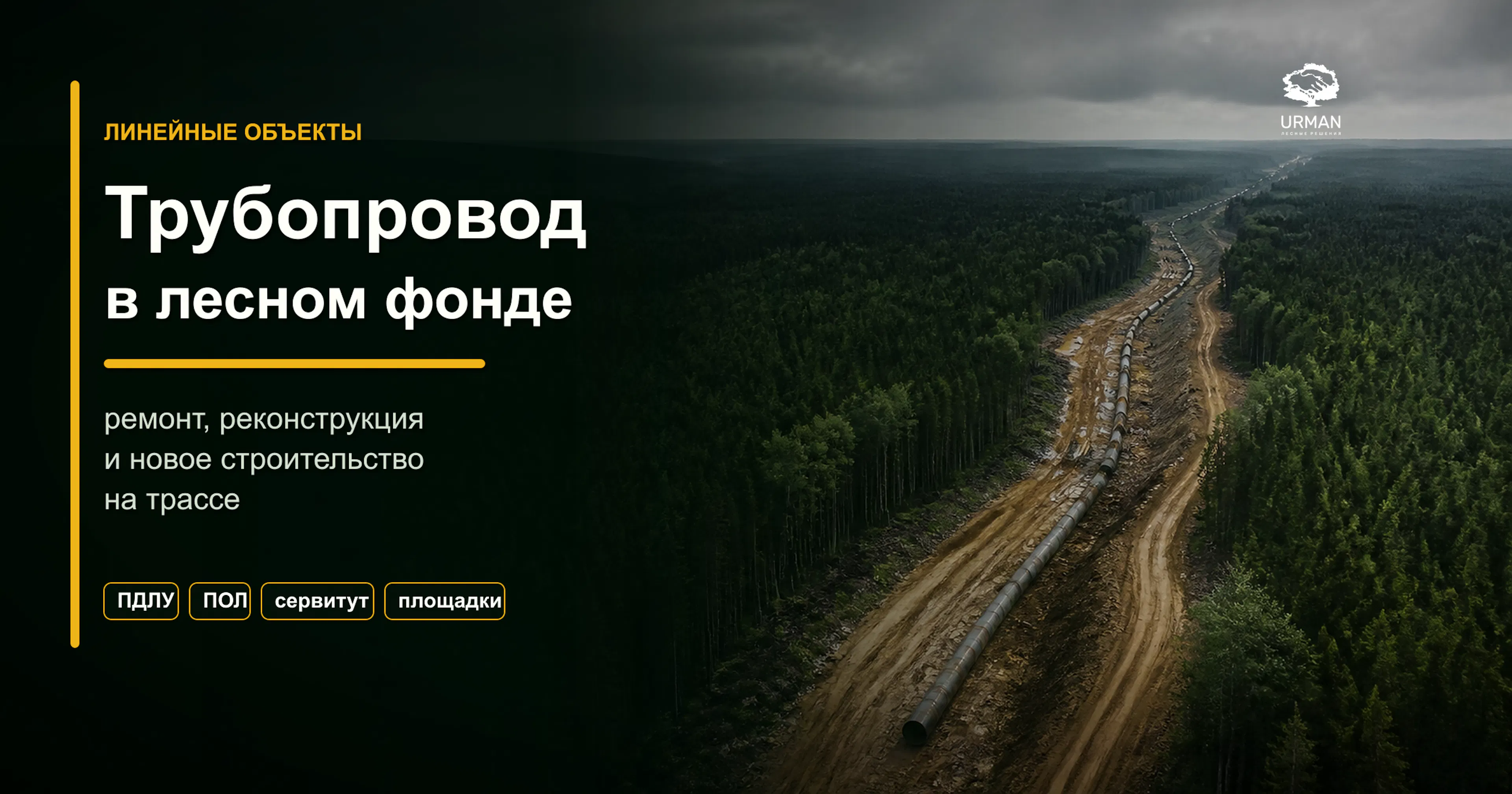 Обложка статьи о трубопроводе в лесном фонде: трасса трубопровода через лес, ремонт, реконструкция и новое строительство