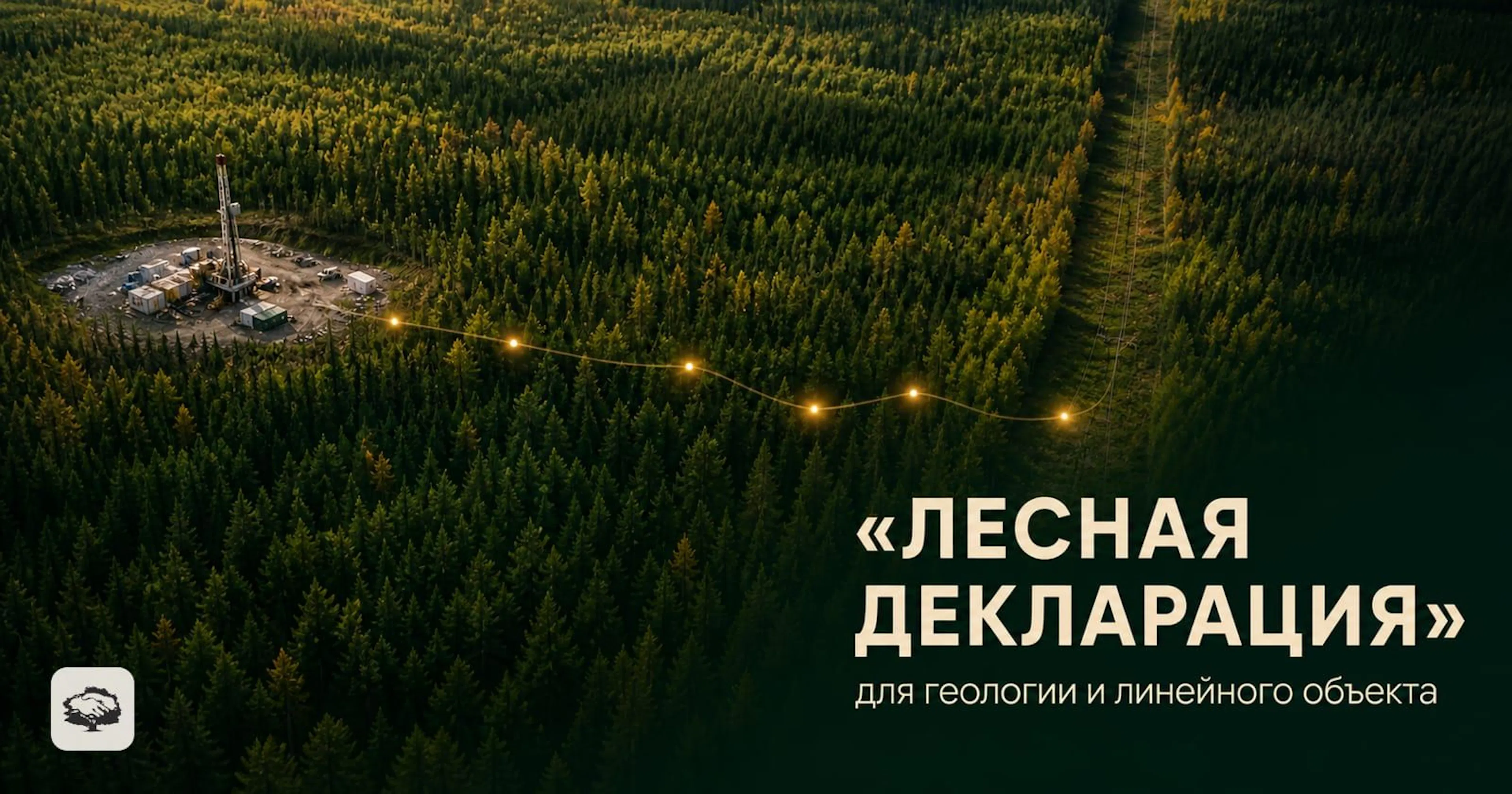 Лесная декларация для геологии и линейного объекта: буровая площадка и трасса в лесном фонде