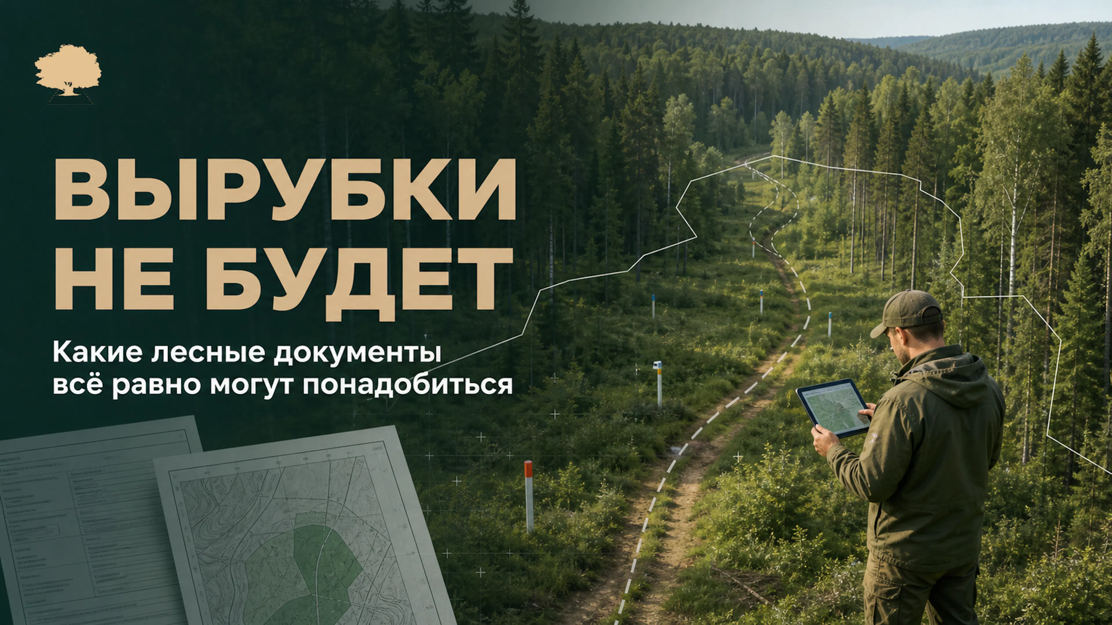 Обложка статьи о лесных документах для работ в лесу без планируемой рубки