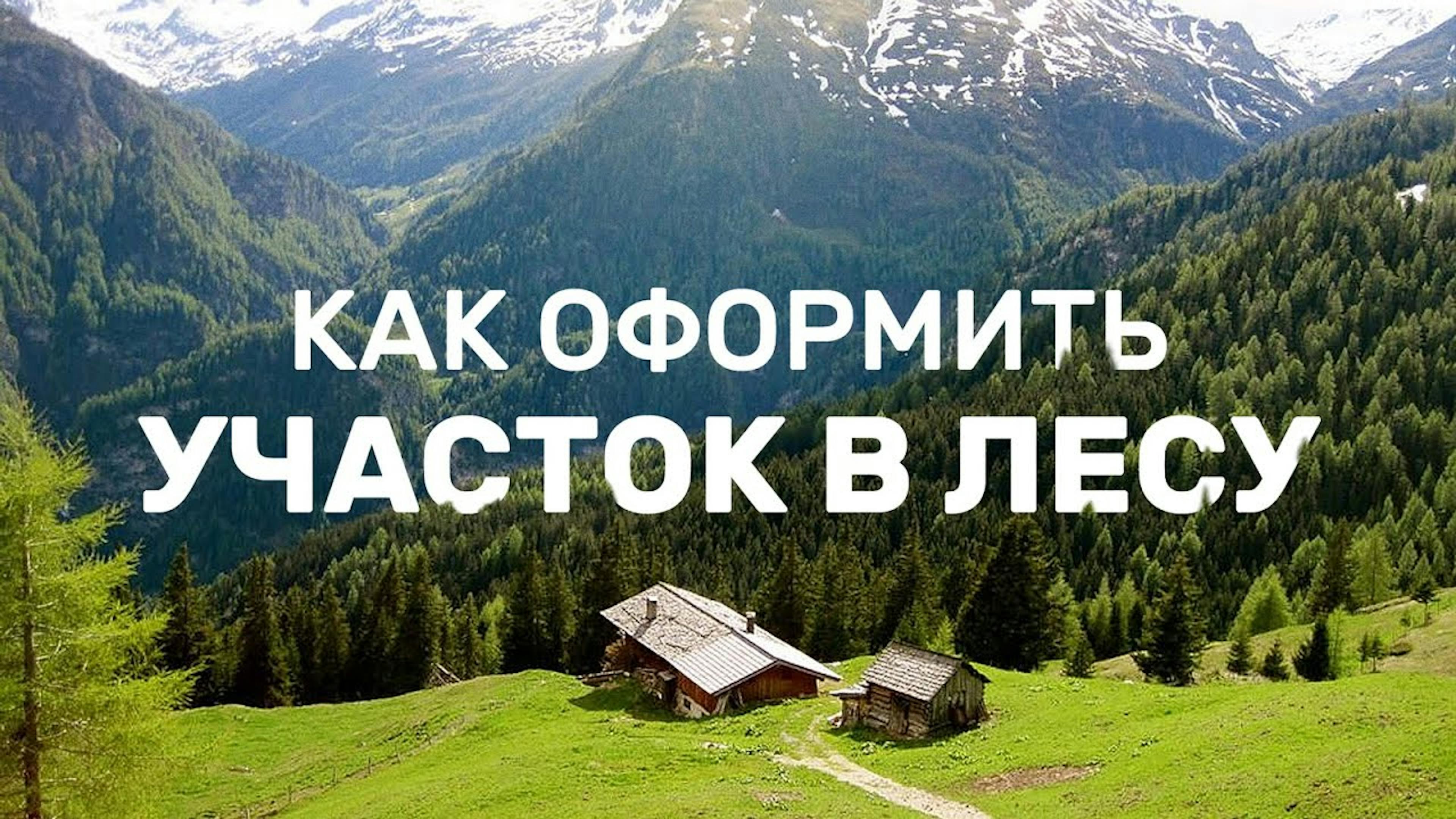 Как оформить участок в лесу. Обложка к видео | URMAN - лесные решения