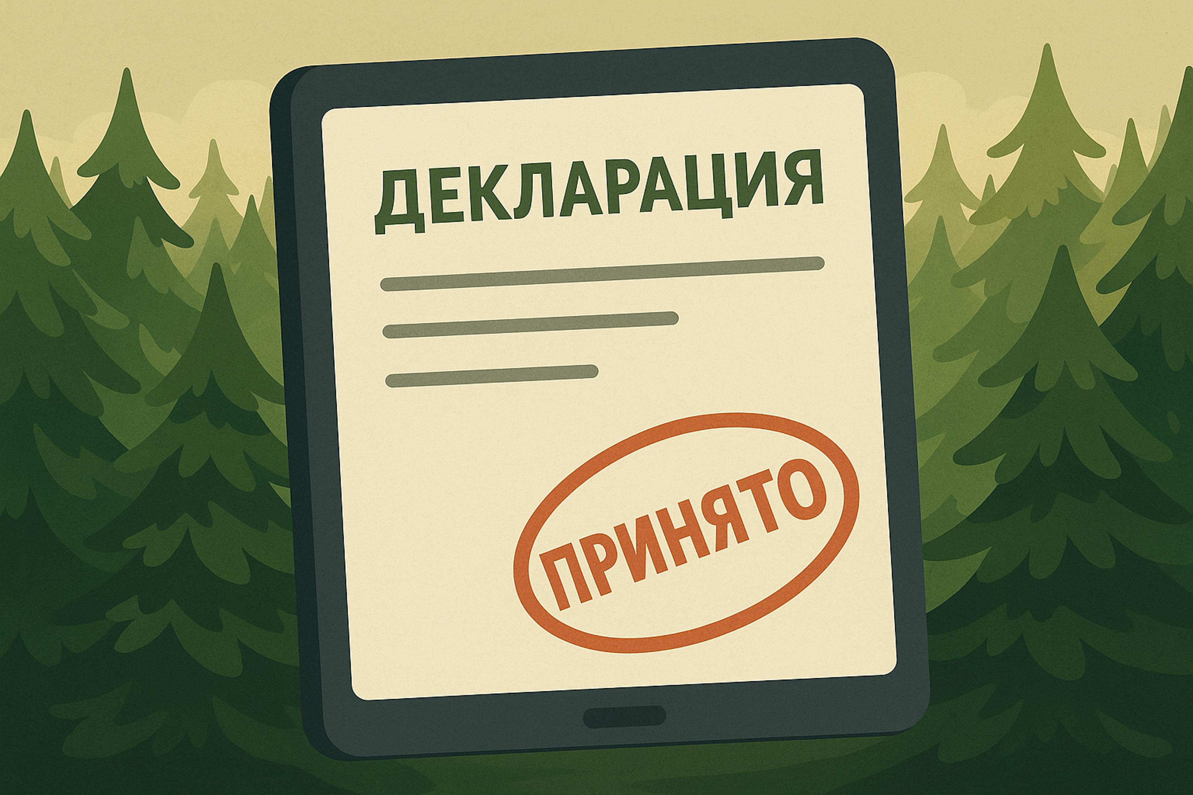 Планшет с формой «Лесная декларация» и штампом «Принято», на заднем плане сосновый лес
