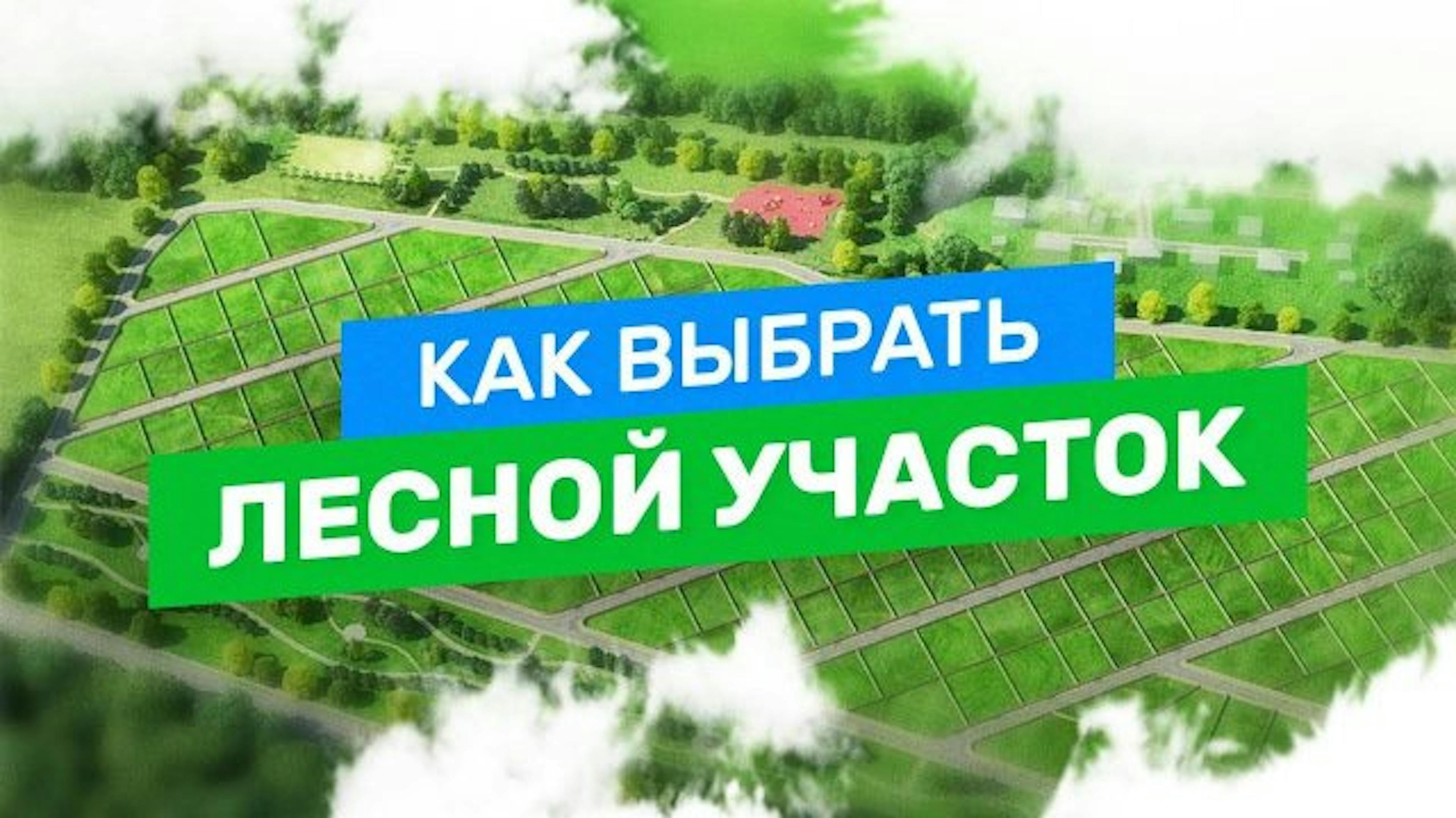 Как выбрать лесной участок | URMAN
