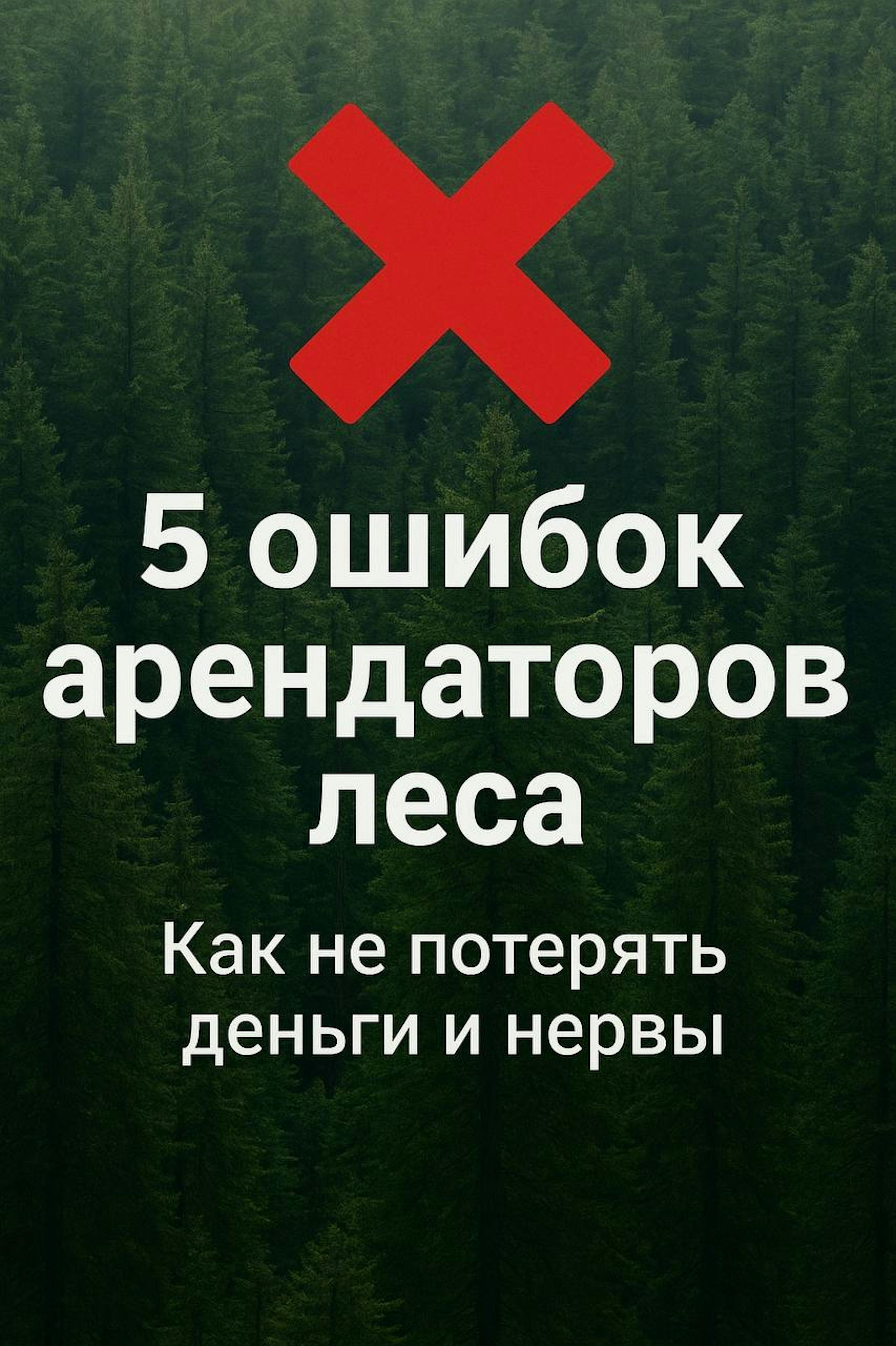 5 ошибок при аренде лесного участка (и как их избежать)