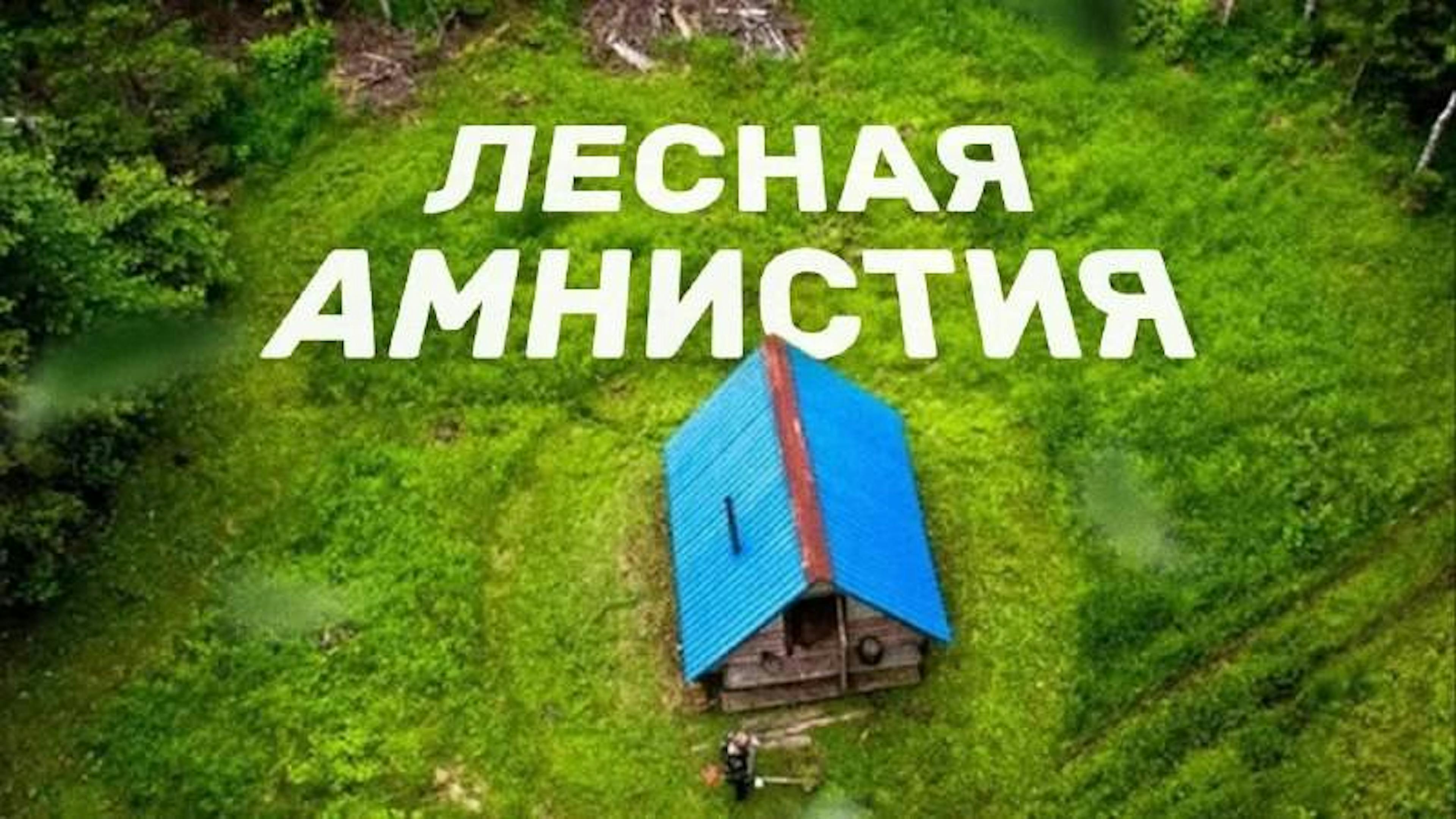 Лесная амнистия | URMAN