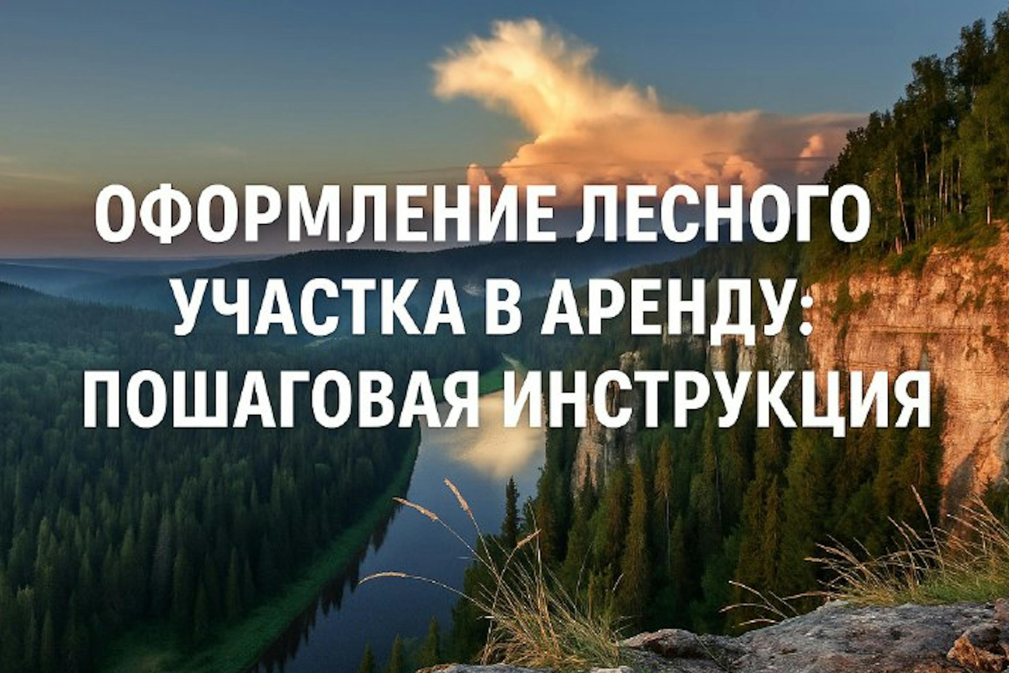 Оформление лесного участка в аренду: пошаговая инструкция