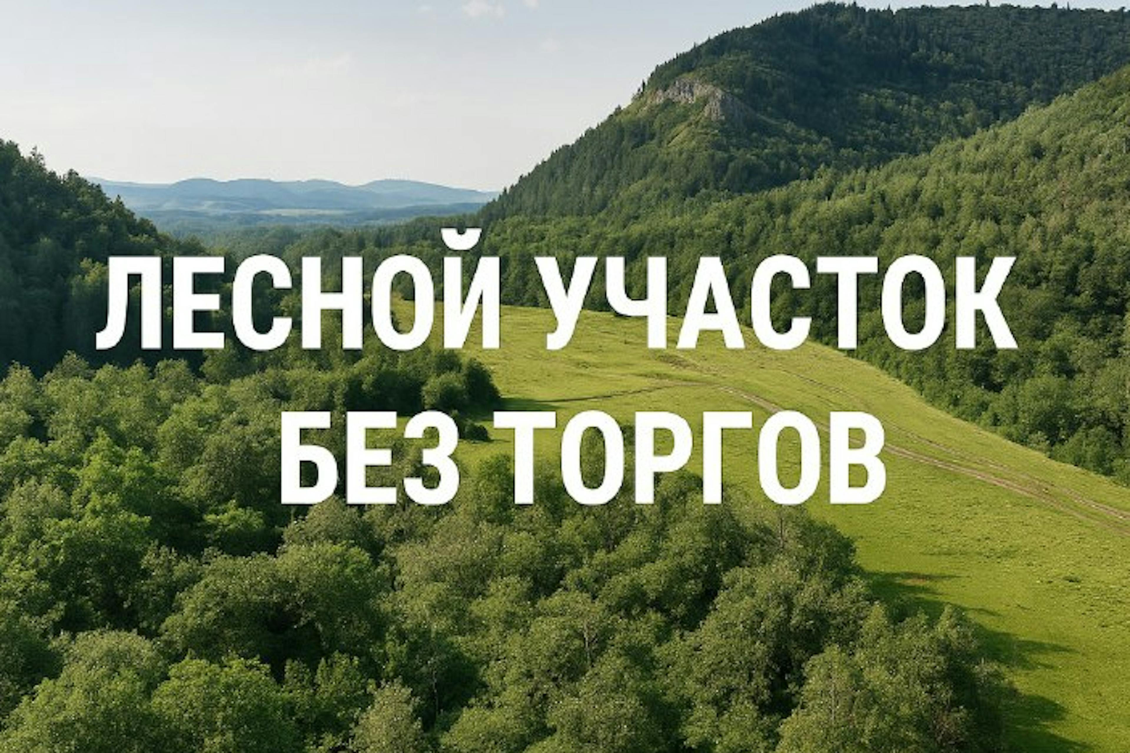 Лесной участок без торгов
