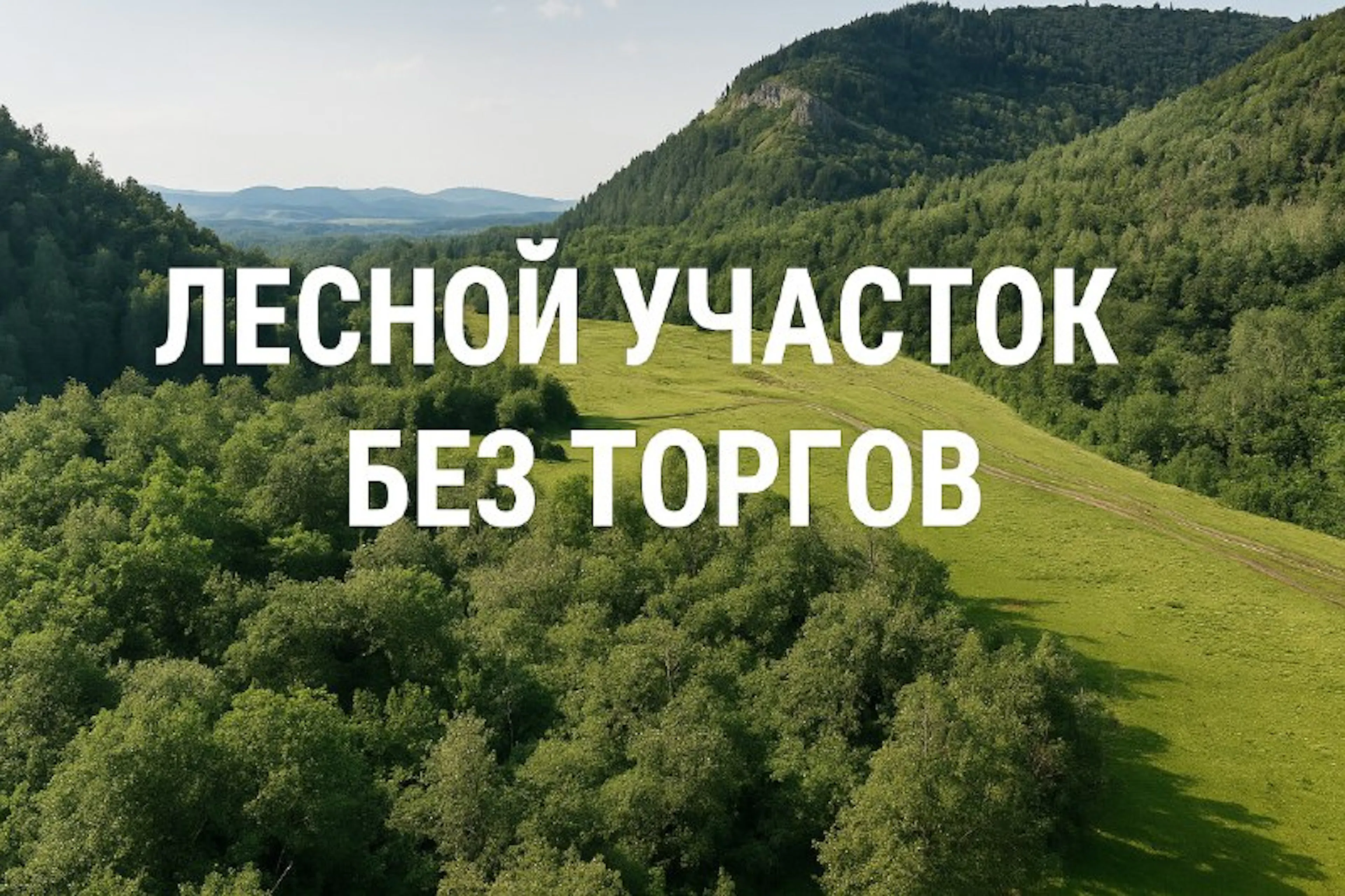 Лесной участок без торгов