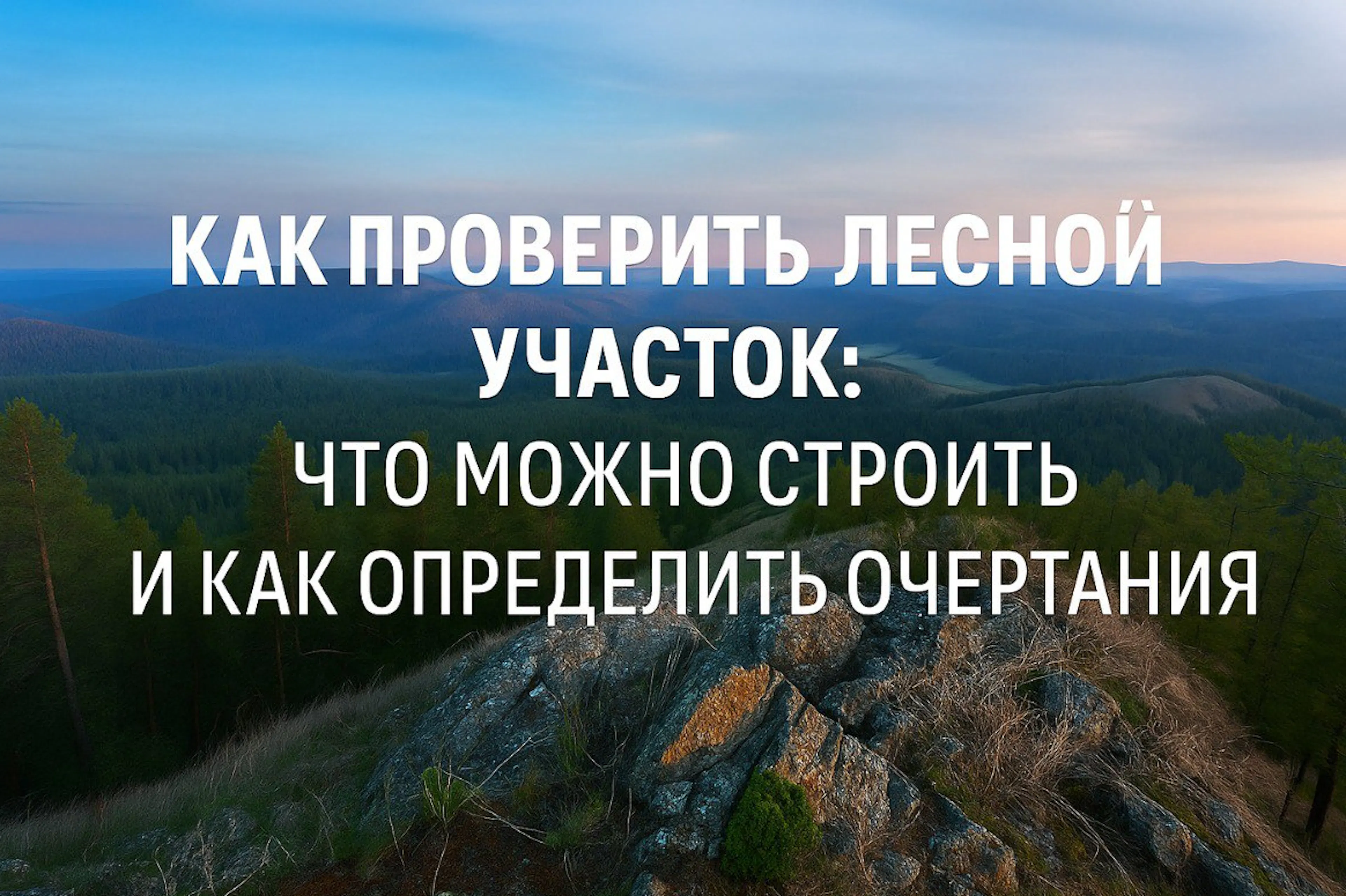 Как проверить лесной участок: что можно строить и как определить очертания