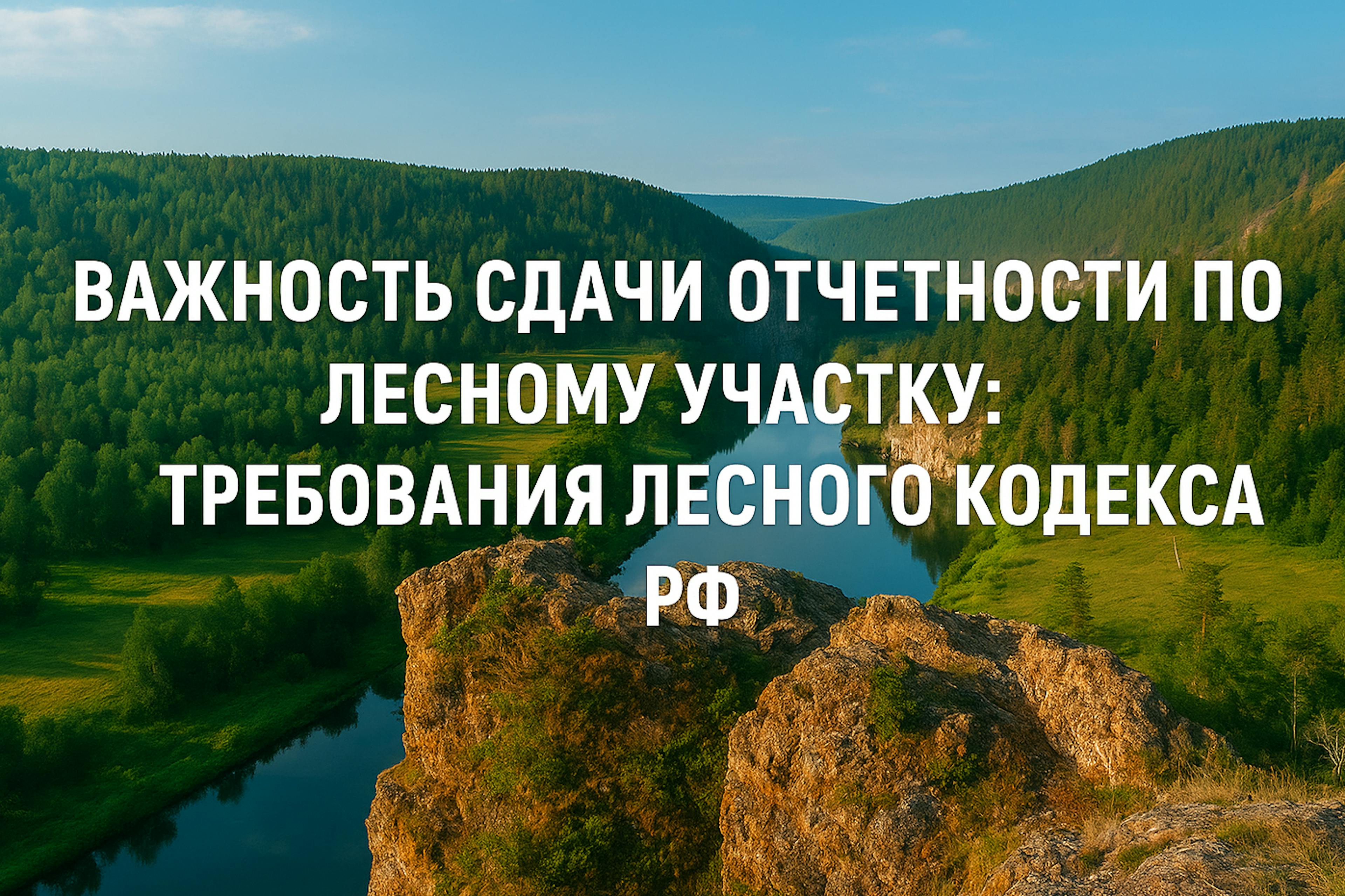 важность сдачи отчетности по лесному участку