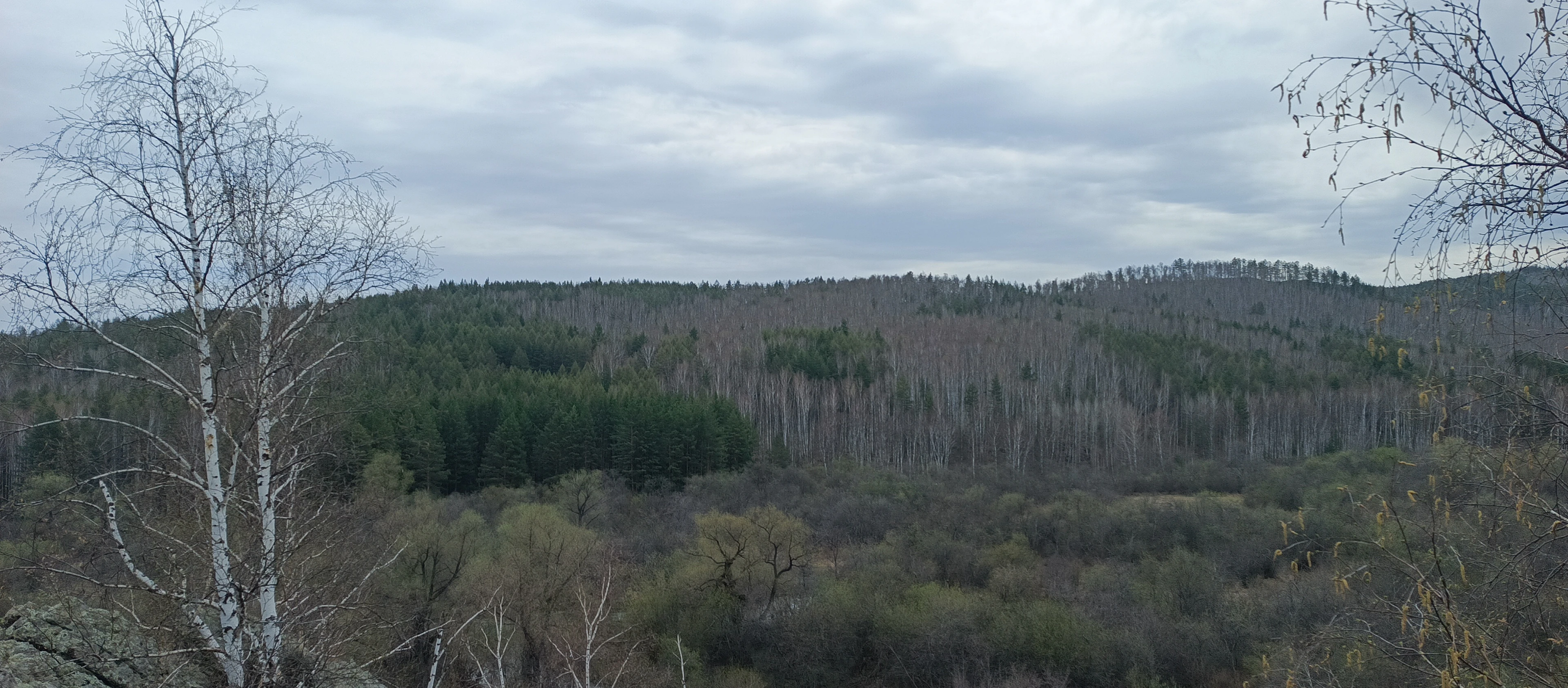 Участок для отдыха и туризма в живописном лесу, Абзаково (0,5 га)