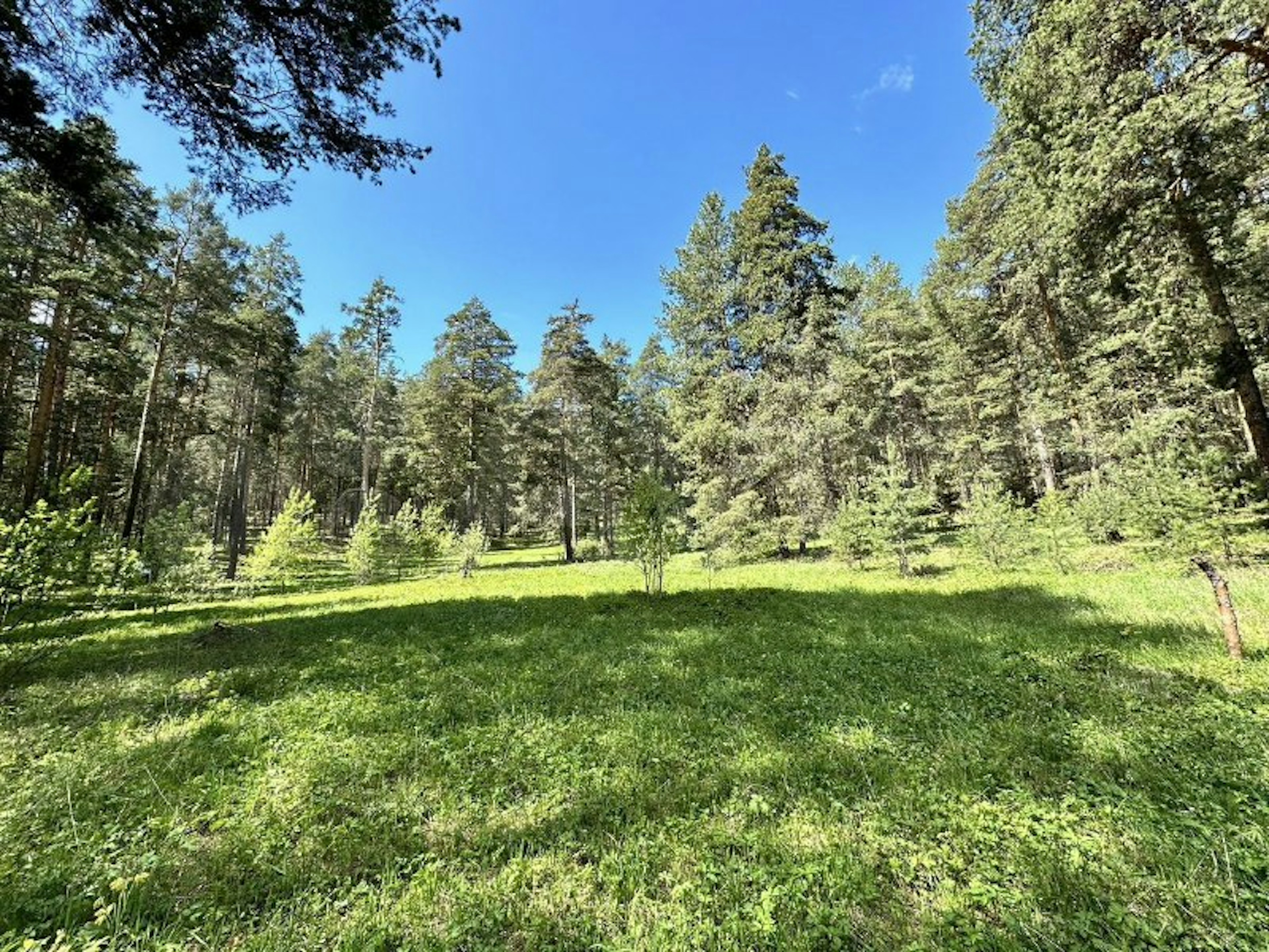 Продается участок в аренде лесного фонда у реки Белой, Белорецк (0,13 га)