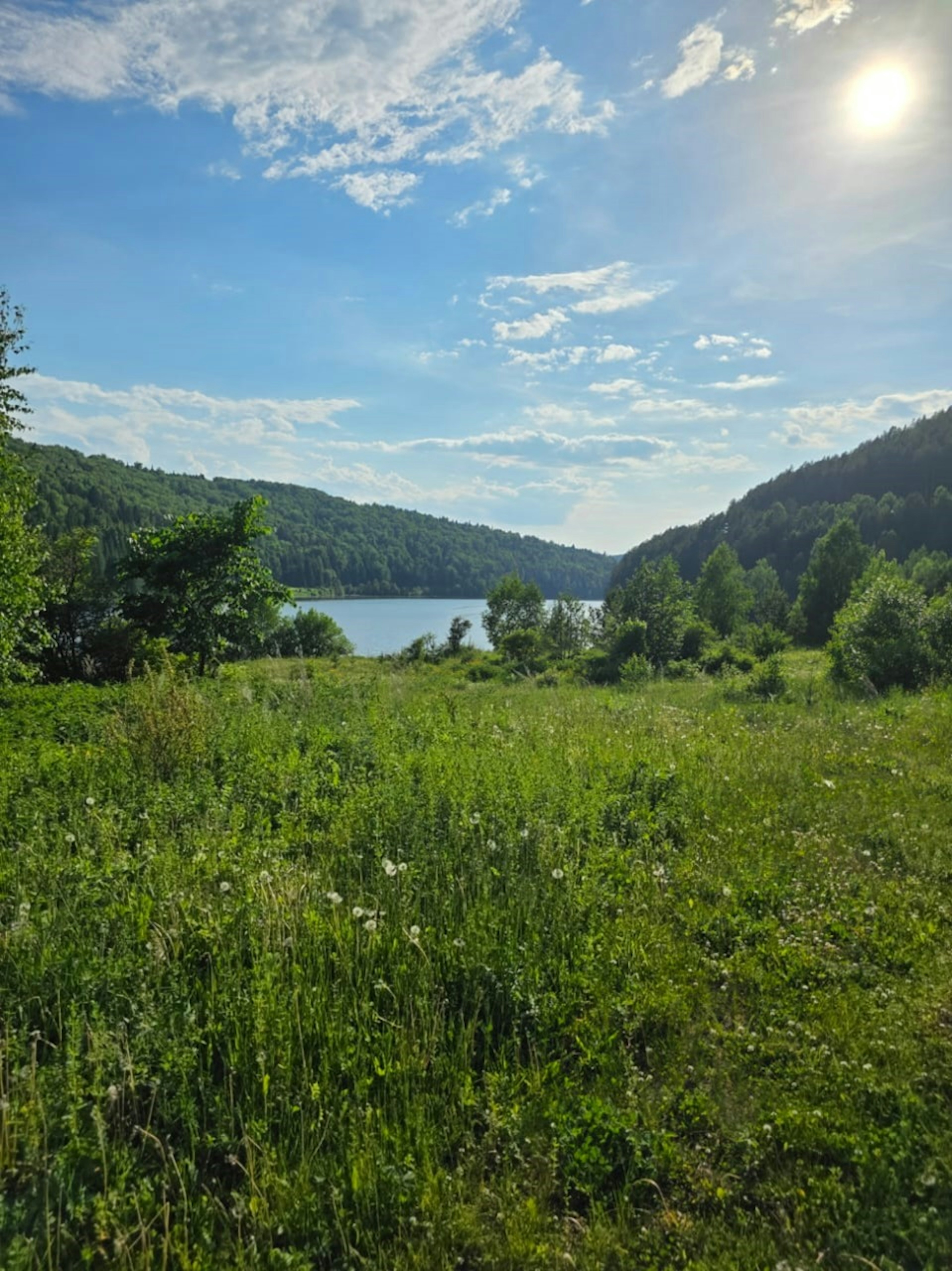 Продается участок для отдыха и туризма в живописном лесу на берегу Павловского водохранилища