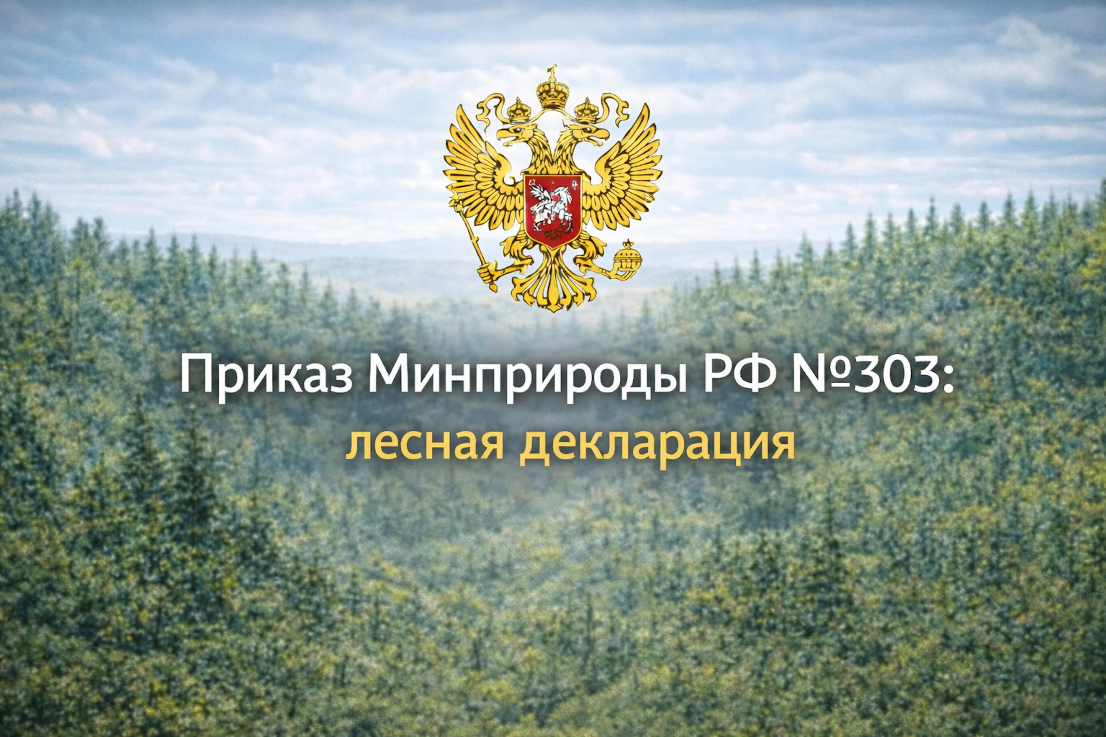Приказ Минприроды РФ №303: лесная декларация