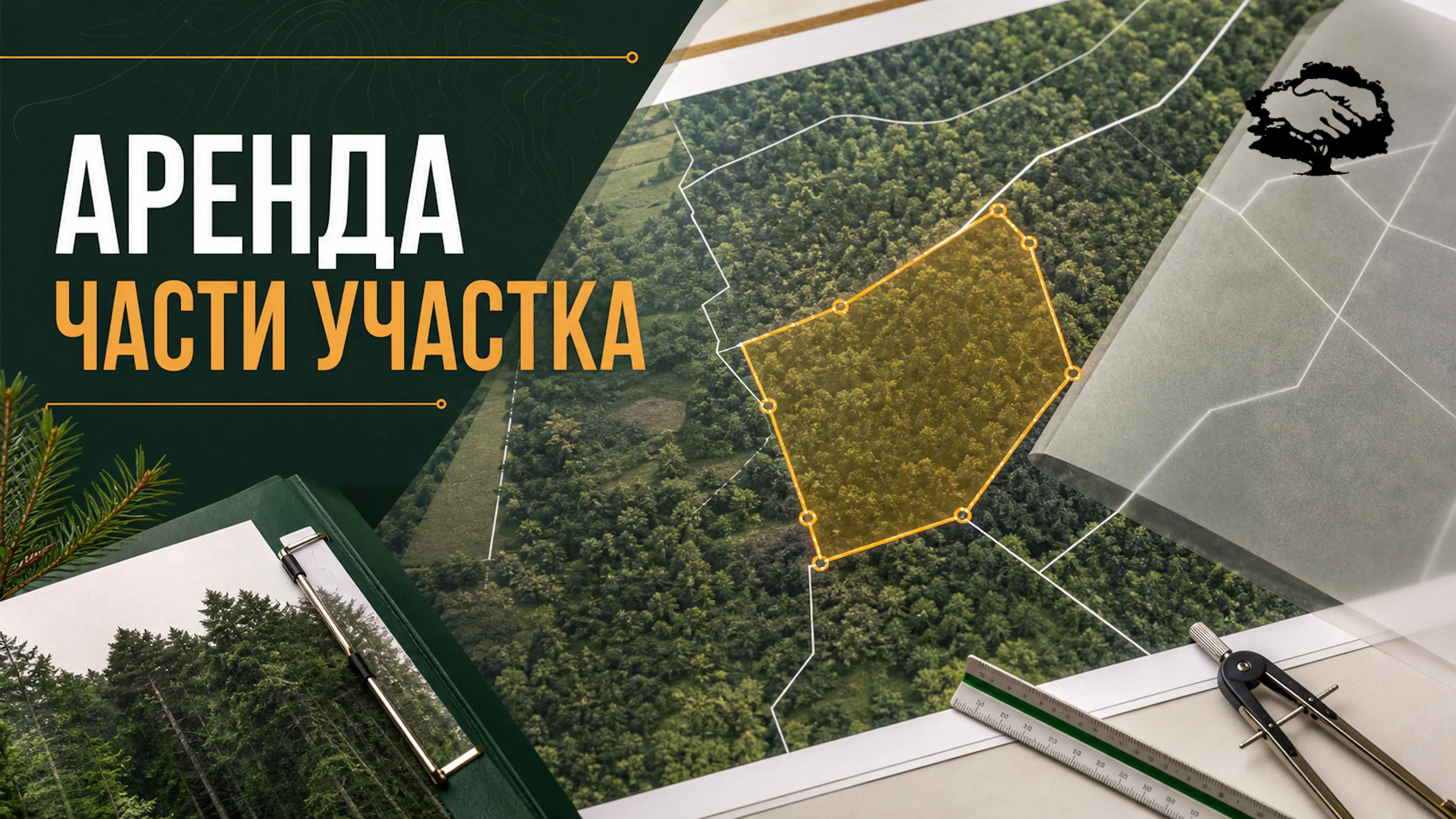 Схема лесного участка с выделенной частью для проверки границ перед арендой.