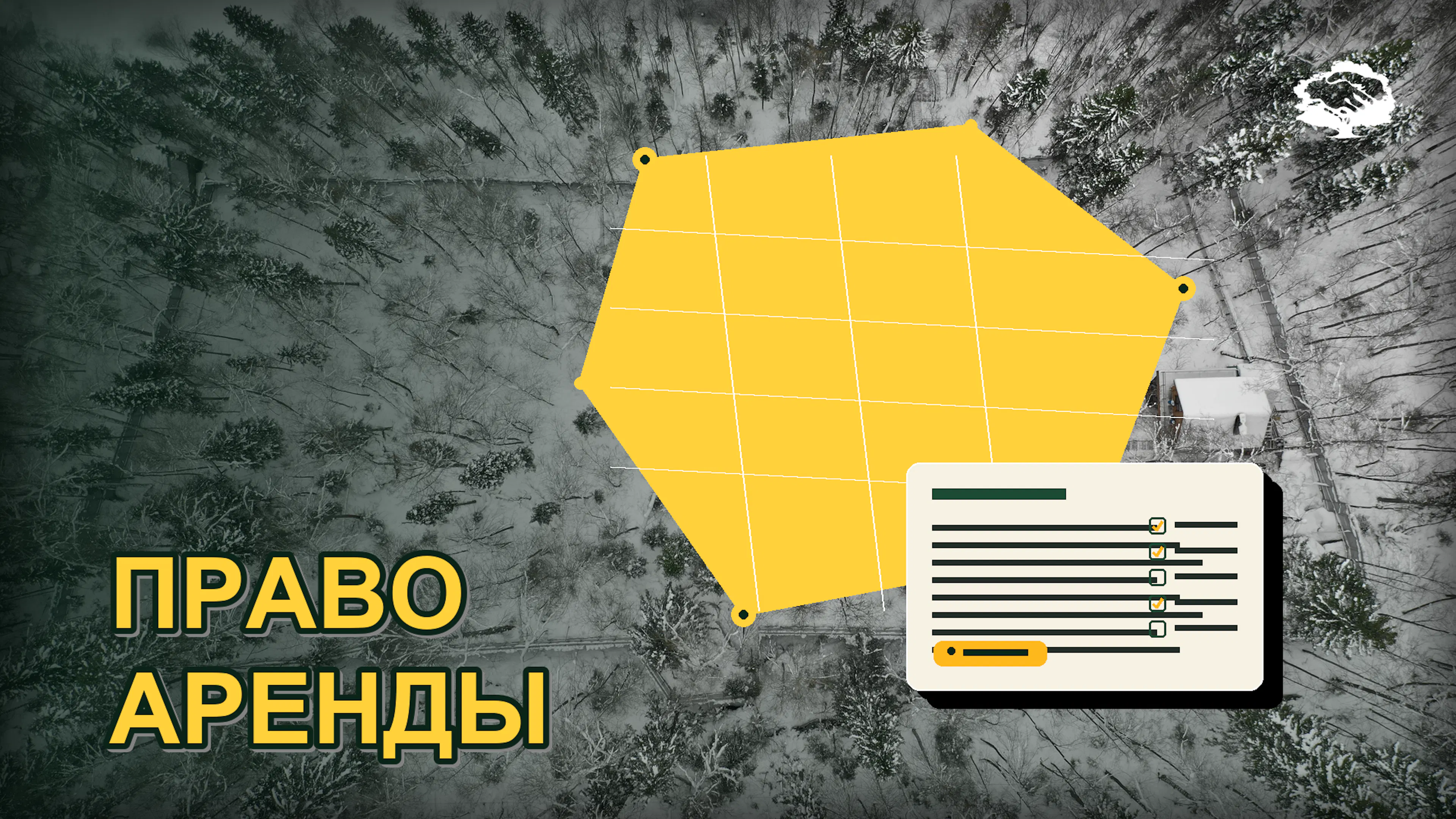 Карта лесного участка, договор аренды, границы и чек-лист анализа перед покупкой права аренды.
