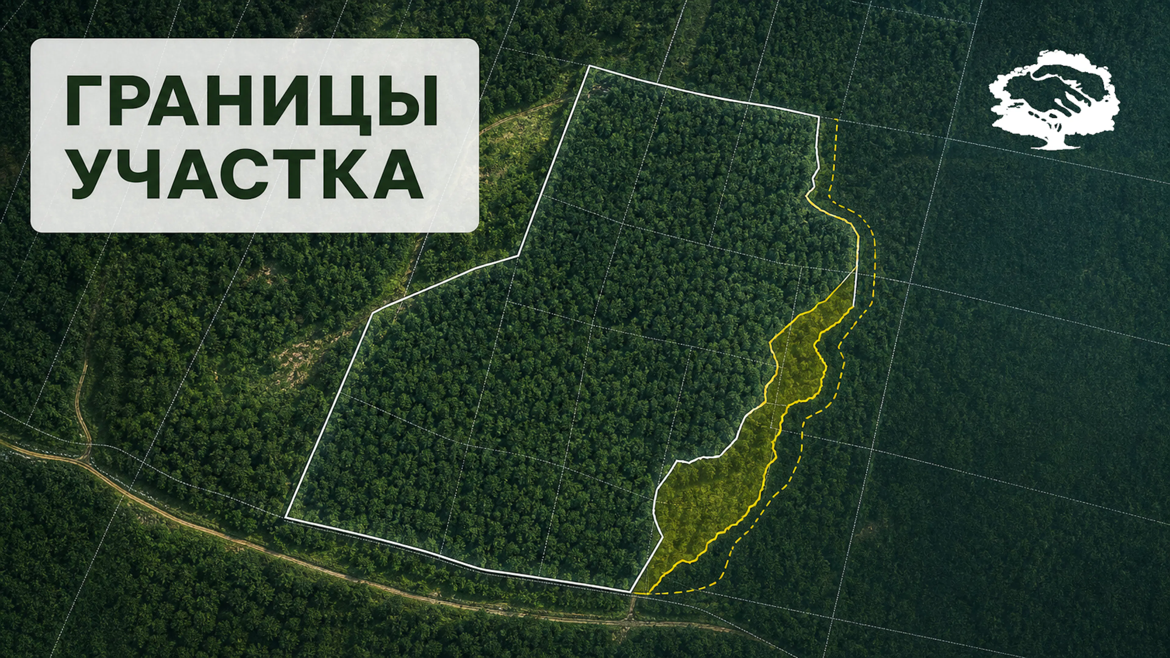 Схема границ лесного участка с наложением кадастрового контура, лесных кварталов и выделов для проверки по ГЛР и ЕГРН.