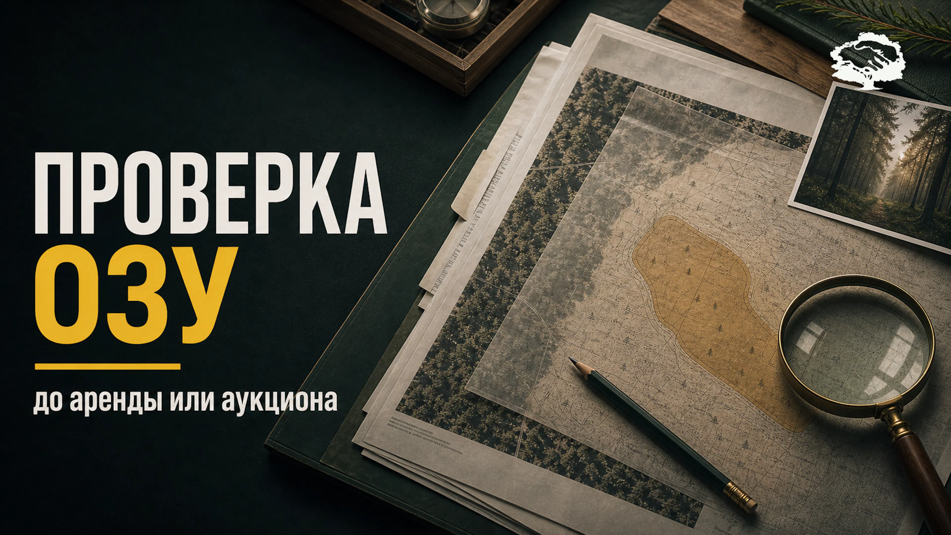 Обложка статьи: проверка ОЗУ до аренды или аукциона, лесные карты, документы и лупа на рабочем столе.