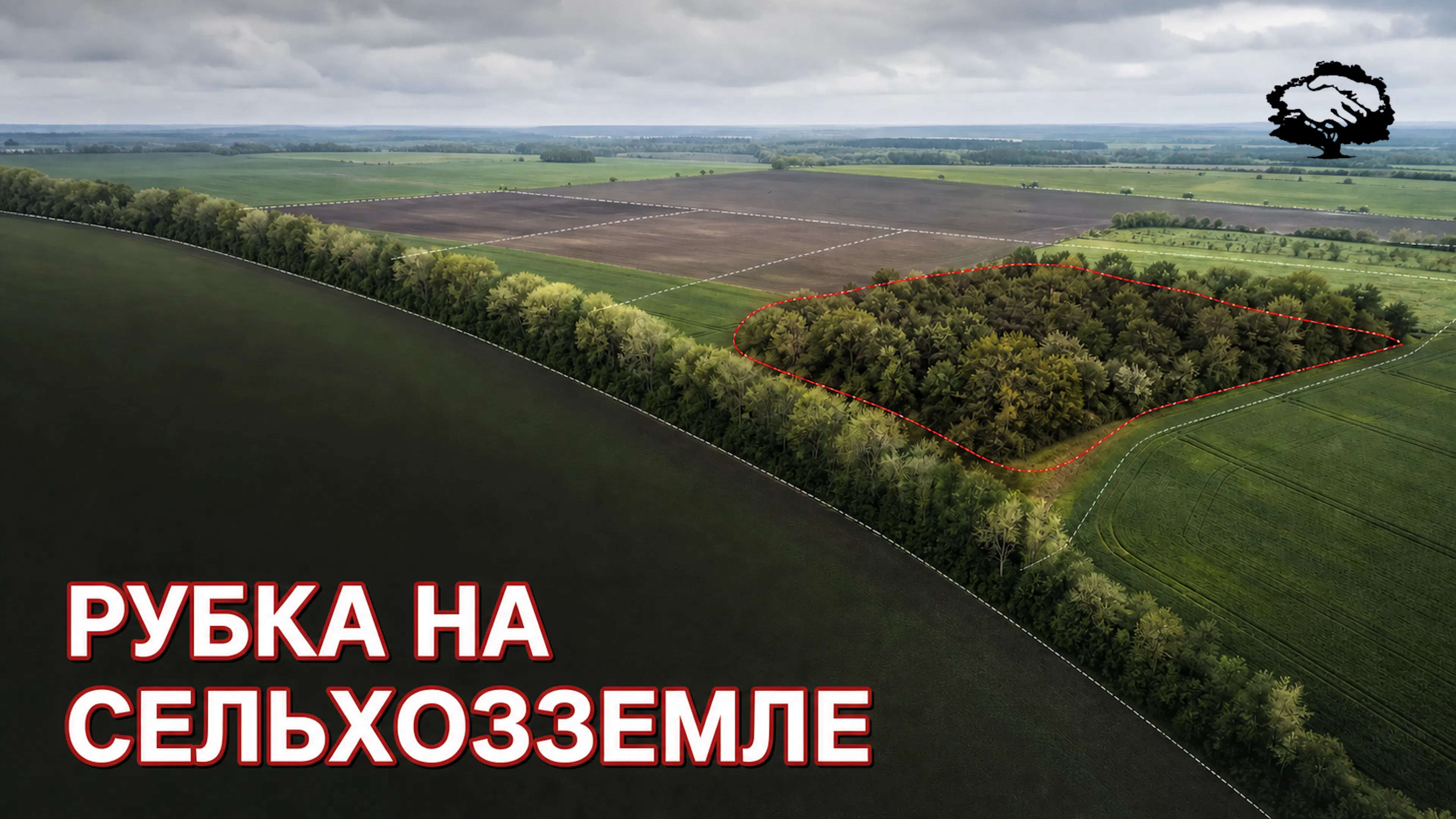 Проверка сельскохозяйственного участка с деревьями перед рубкой: карта, документы, ограничения и защитные насаждения.
