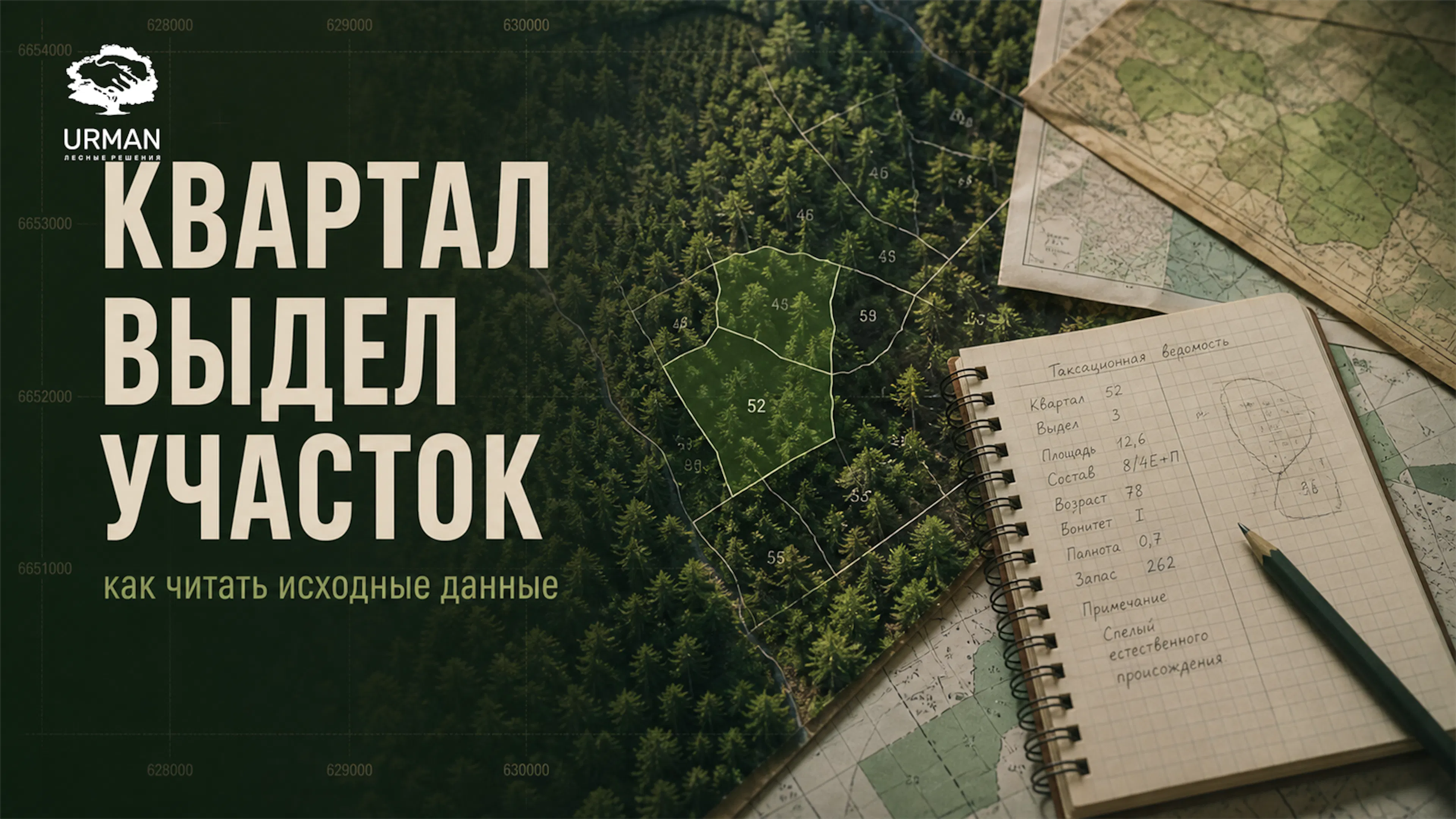 Обложка статьи о лесном квартале, выделе и лесном участке как исходных данных проекта