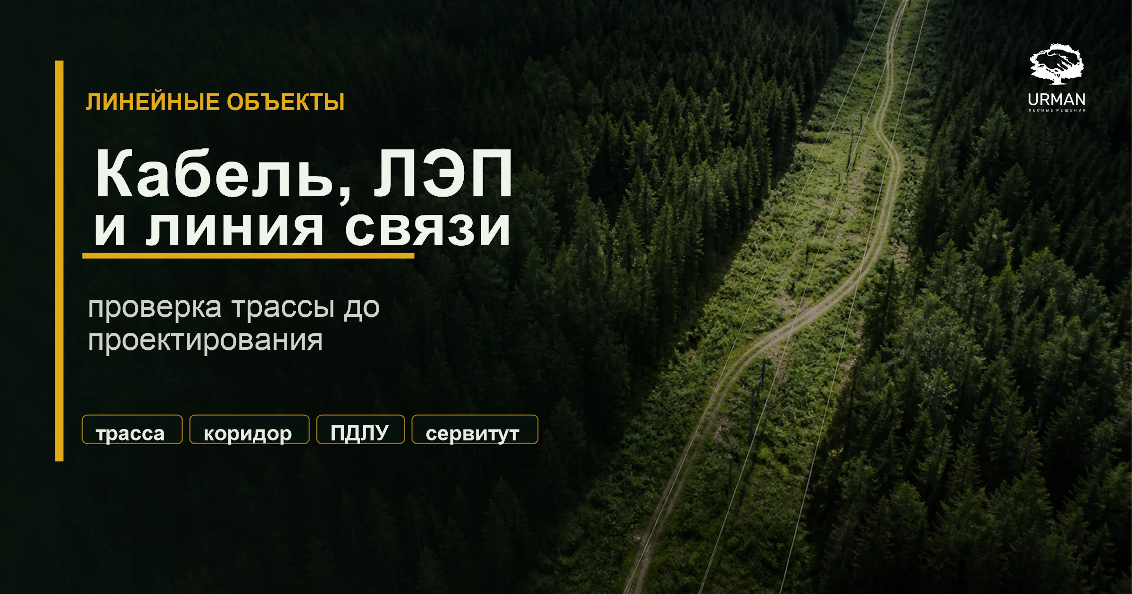 Обложка статьи о кабеле, ЛЭП и линии связи в лесном фонде: проверка трассы до проектирования